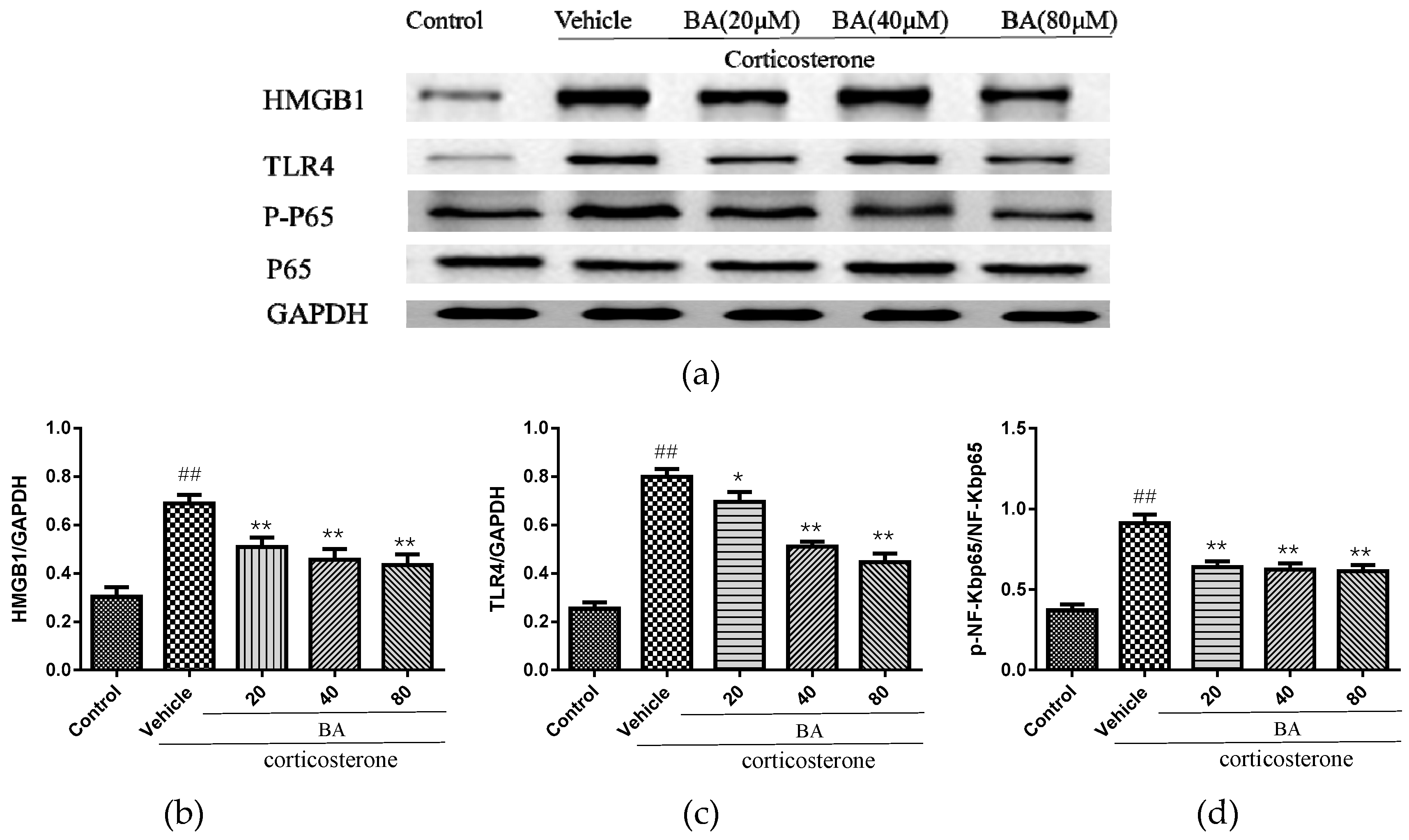Molecules 24 00326 g009 Molecules 24 00326 g009