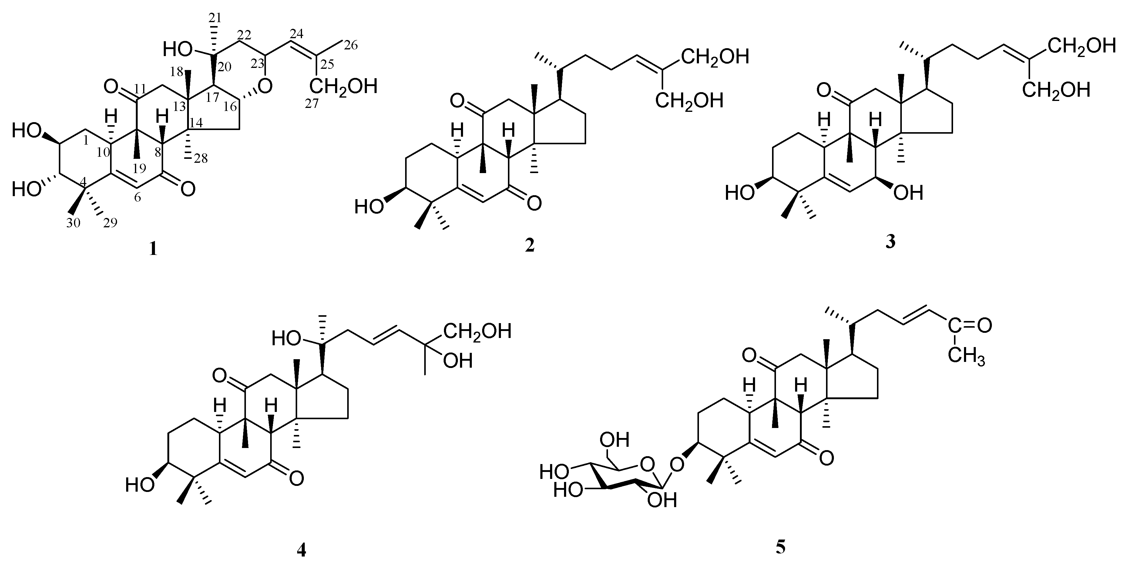 Molecules 24 00331 g001