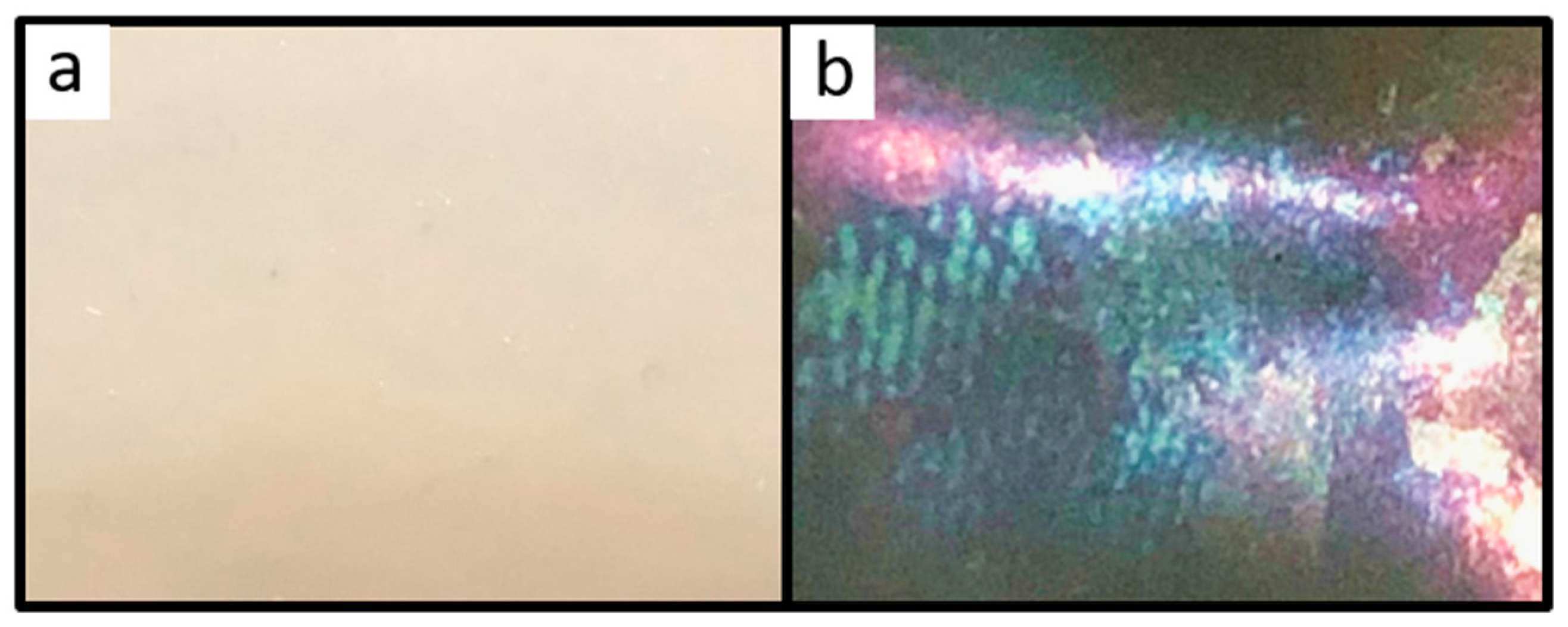Molecules 24 00333 g007 Molecules 24 00333 g007