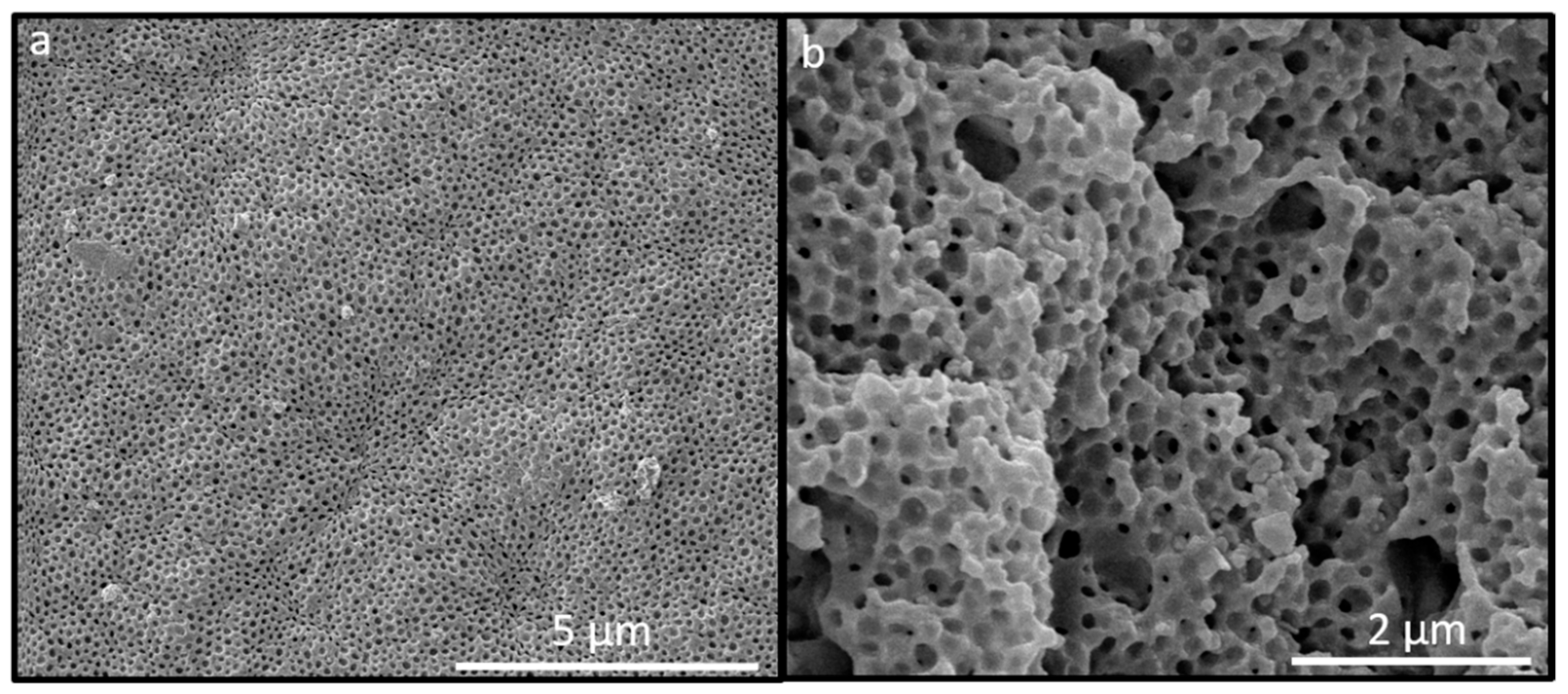 Molecules 24 00333 g008 Molecules 24 00333 g008