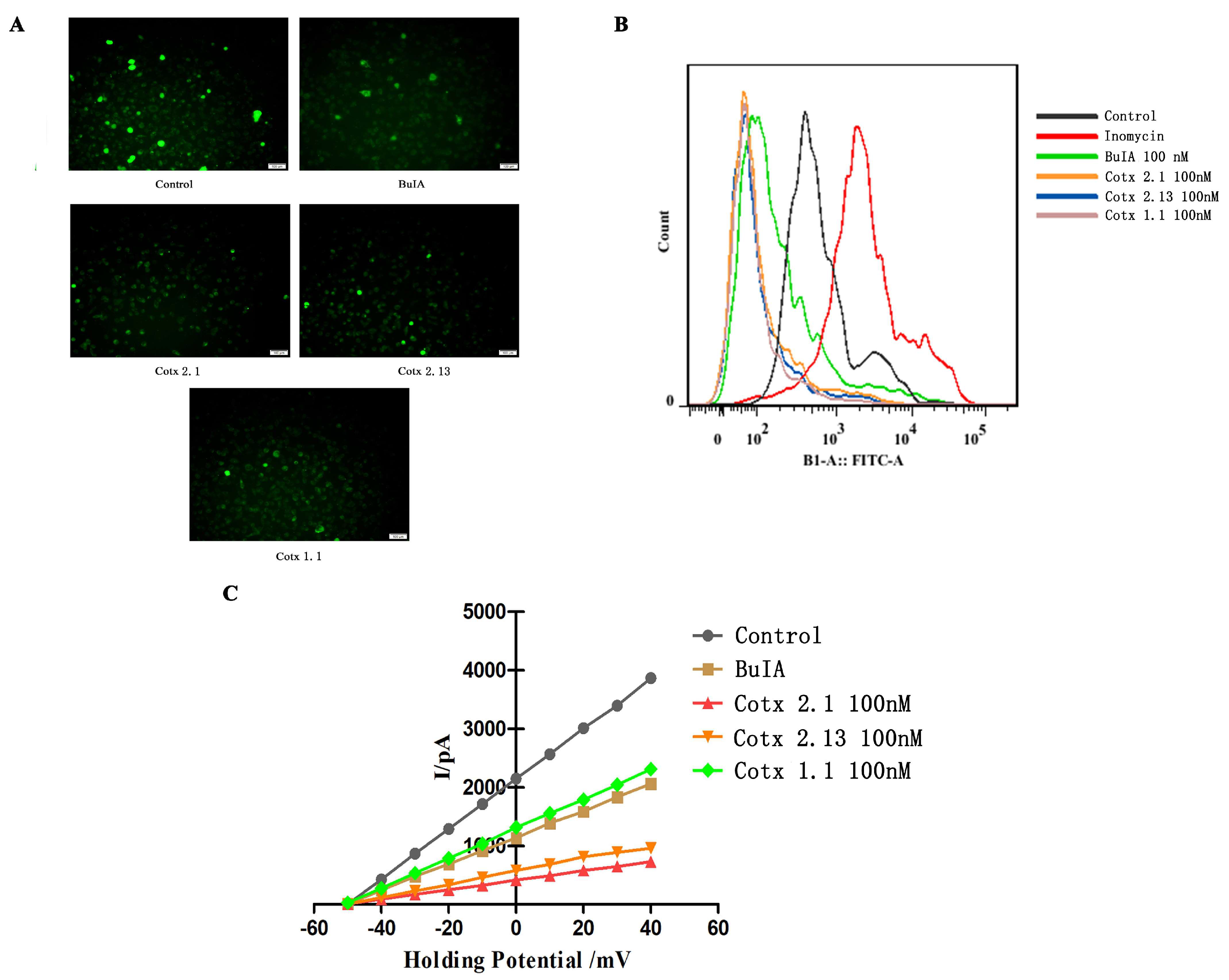 Molecules 24 00337 g002