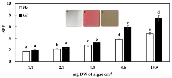 Molecules Free Full Text Uv Photoprotection Cytotoxicity And Immunology Capacity Of Red Algae Extracts Html