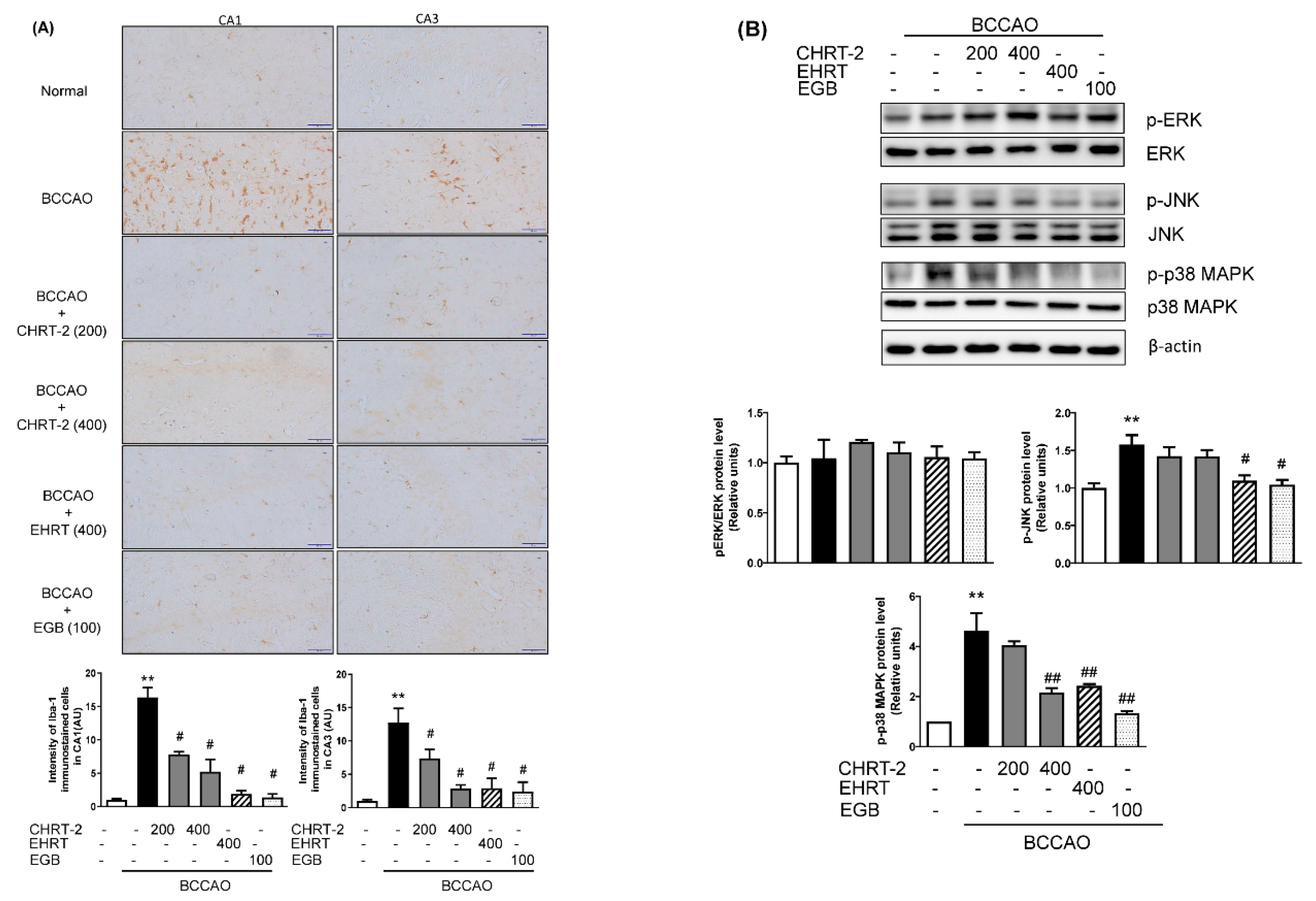 Molecules 24 00343 g005 Molecules 24 00343 g005