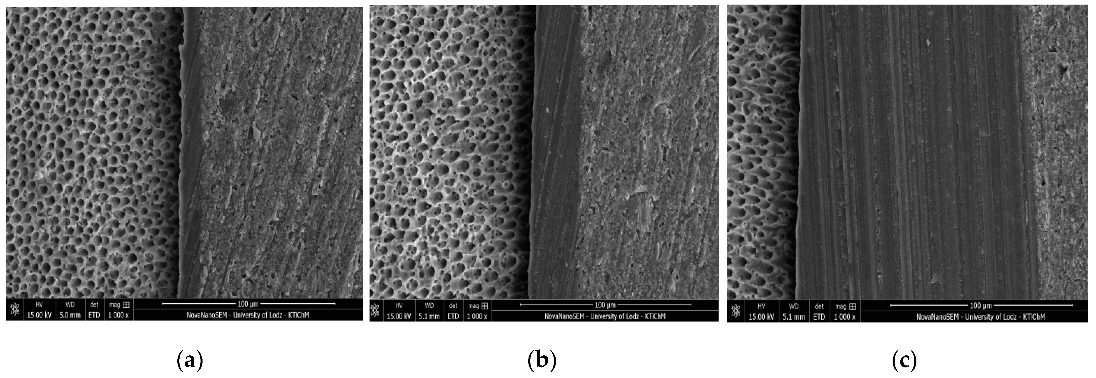 Molecules 24 00345 g001 Molecules 24 00345 g001
