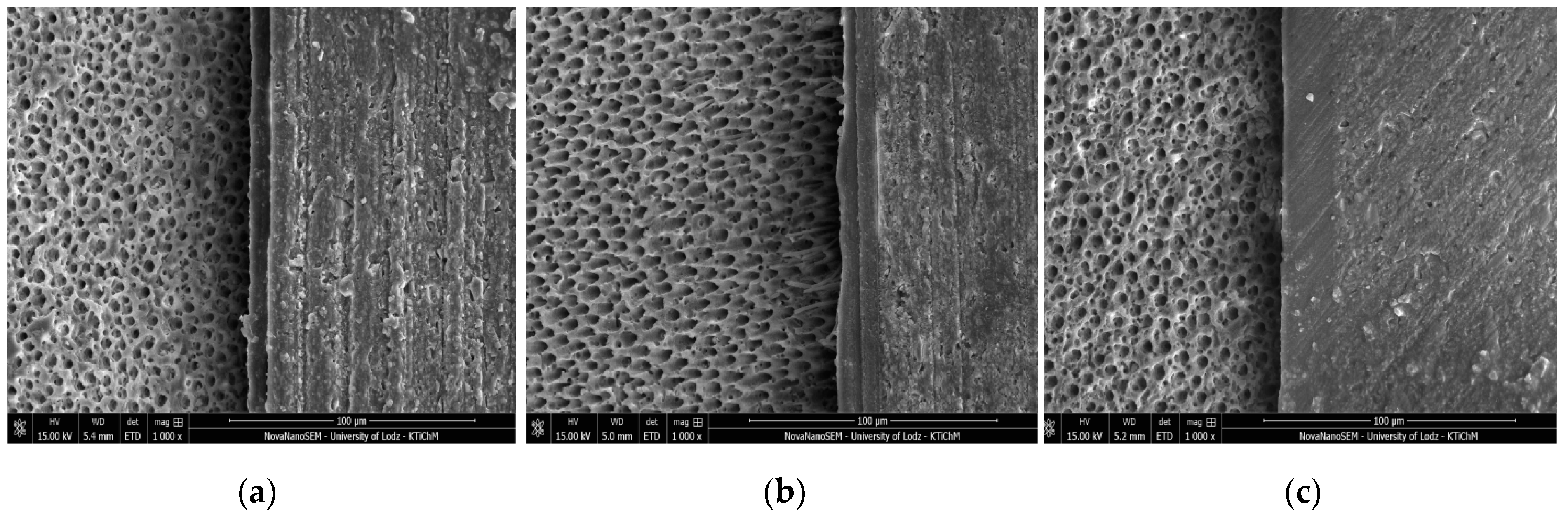 Molecules 24 00345 g002 Molecules 24 00345 g002
