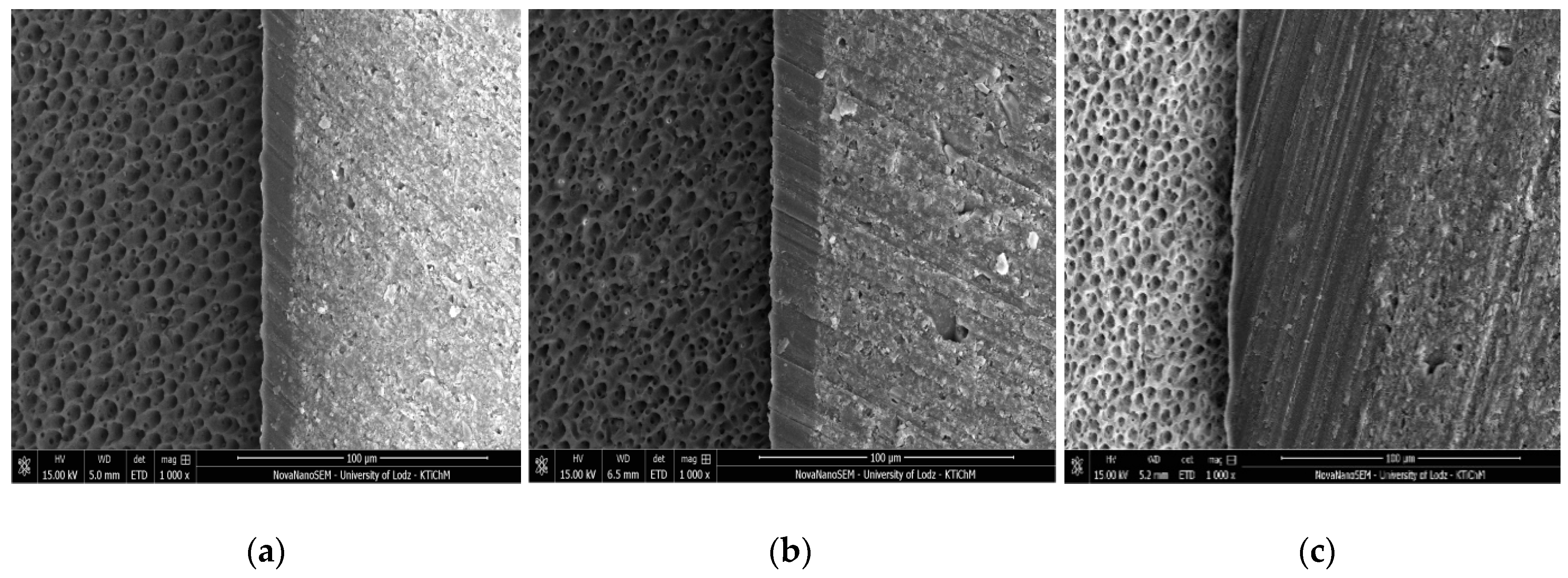 Molecules 24 00345 g003 Molecules 24 00345 g003