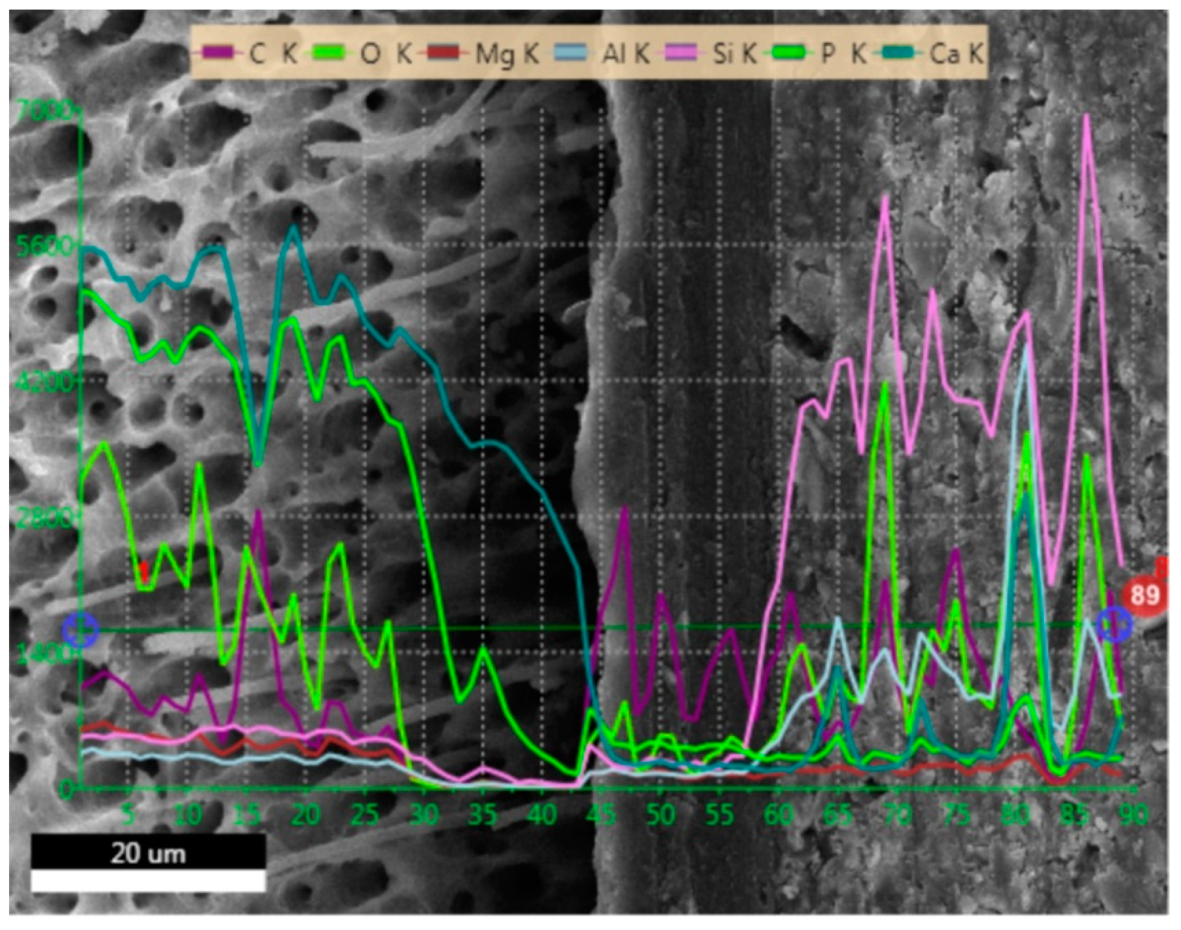 Molecules 24 00345 g006 Molecules 24 00345 g006