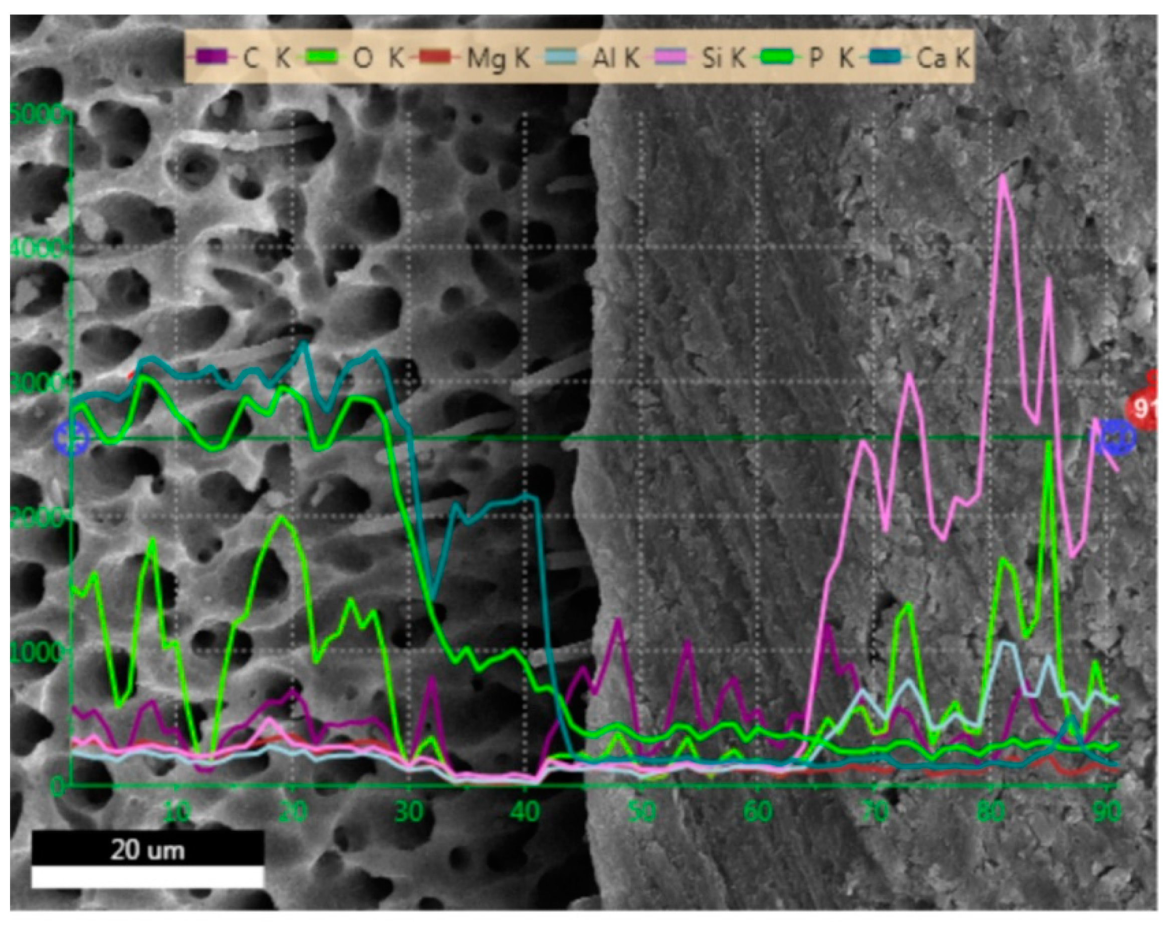 Molecules 24 00345 g008 Molecules 24 00345 g008