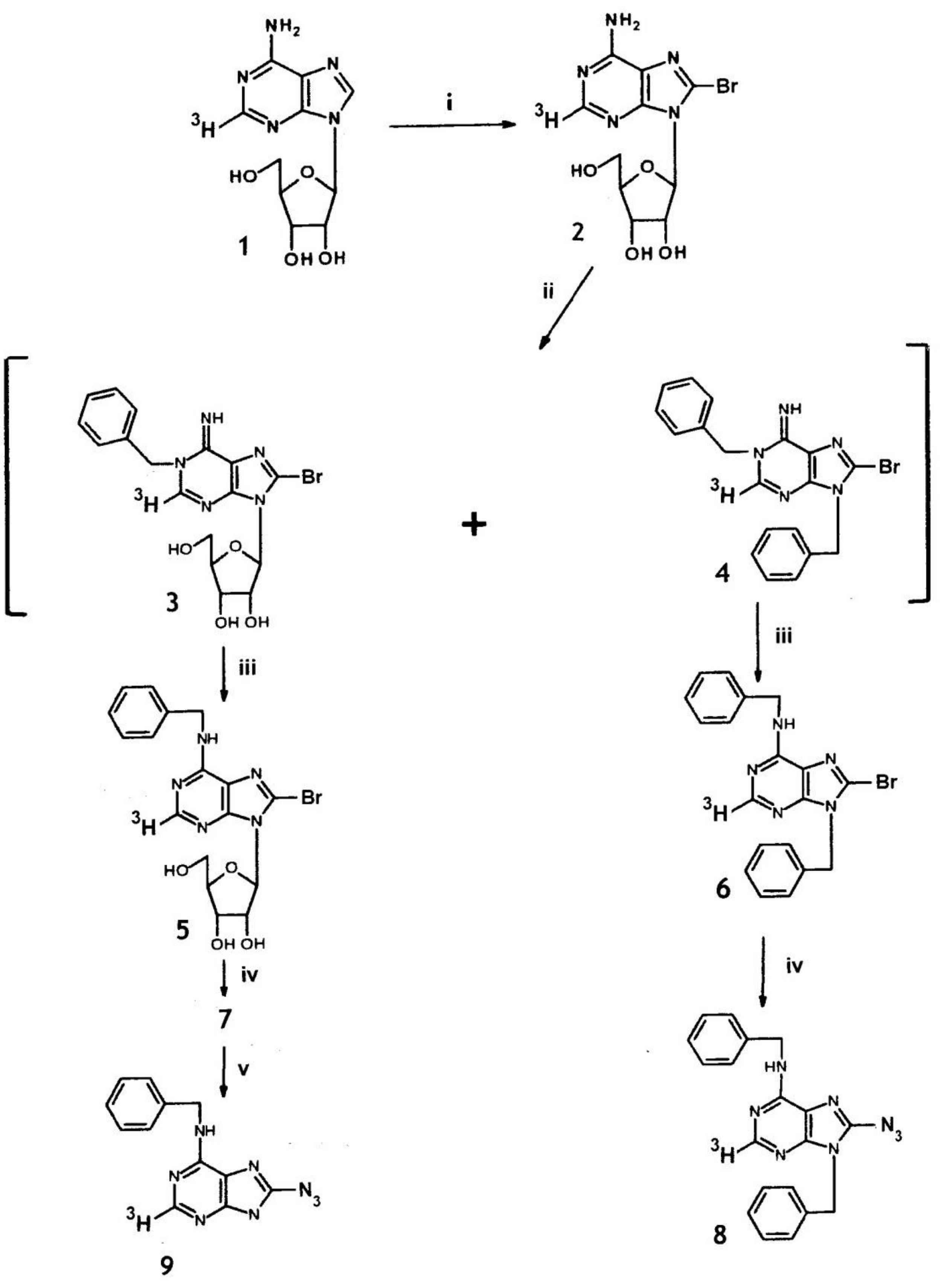 Molecules 24 00349 g001