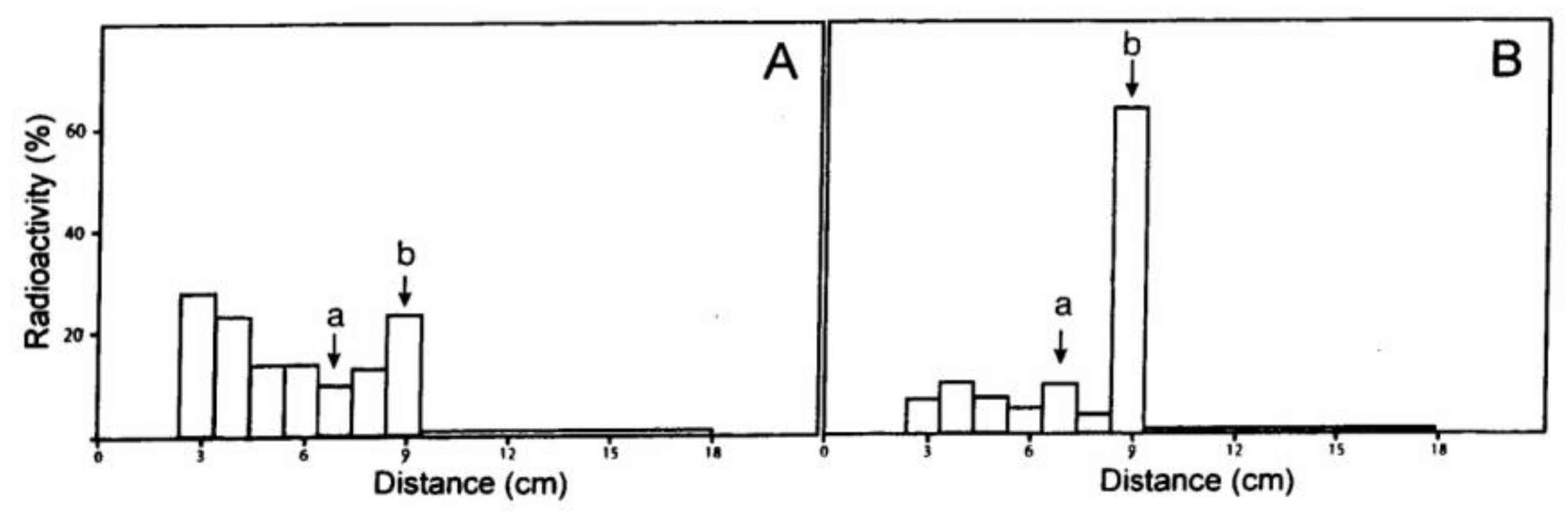 Molecules 24 00349 g002
