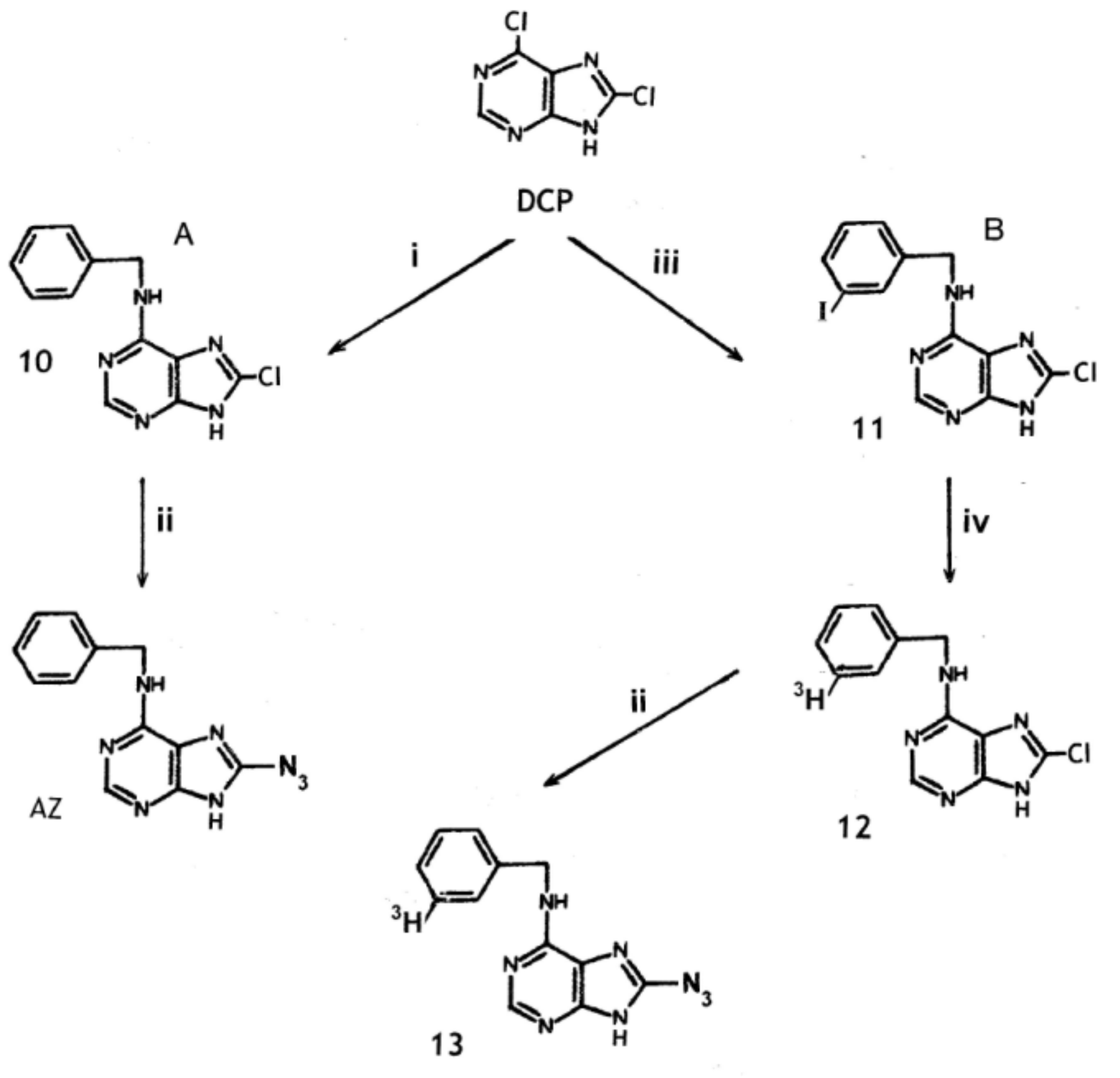 Molecules 24 00349 g003
