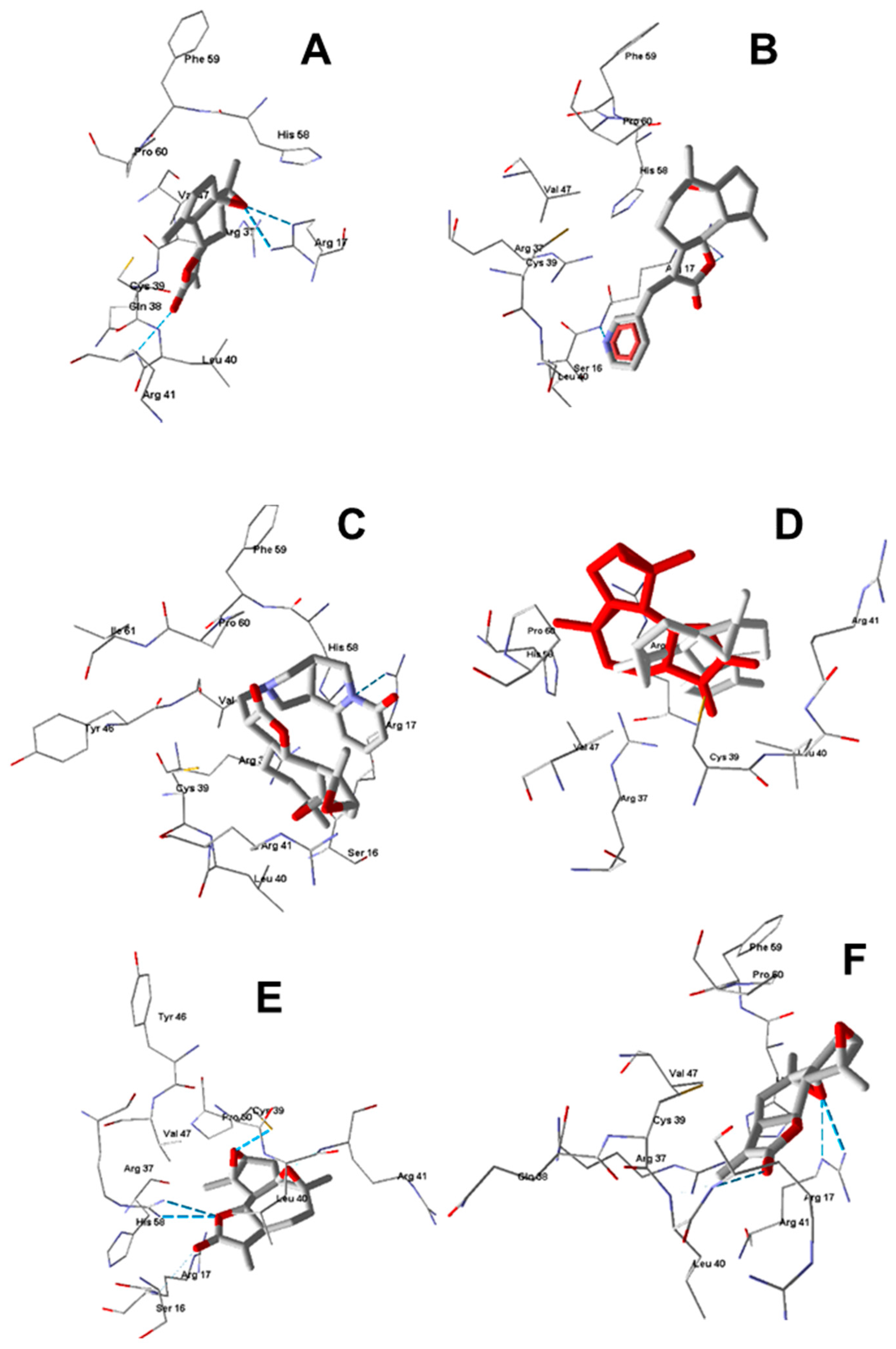Molecules 24 00350 g004 Molecules 24 00350 g004