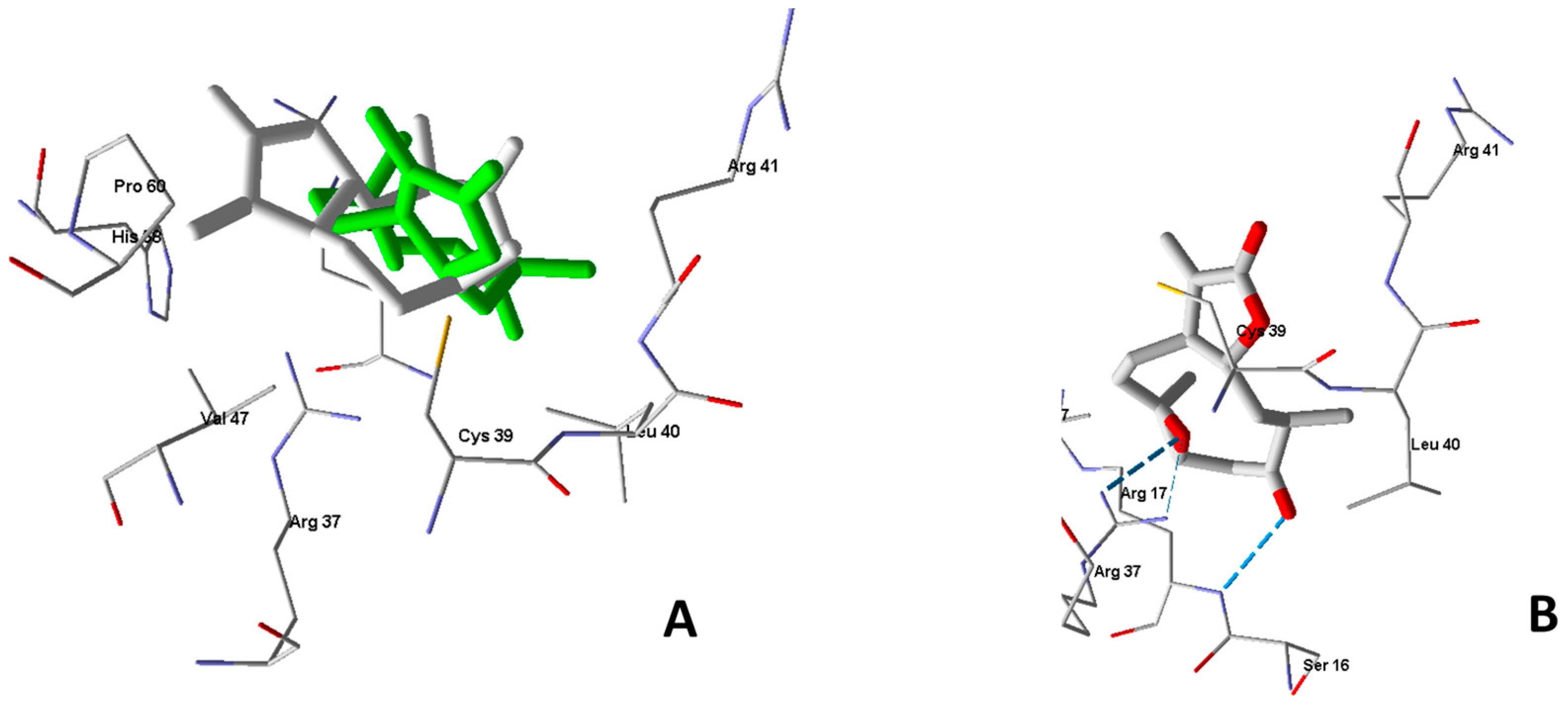 Molecules 24 00350 g005 Molecules 24 00350 g005