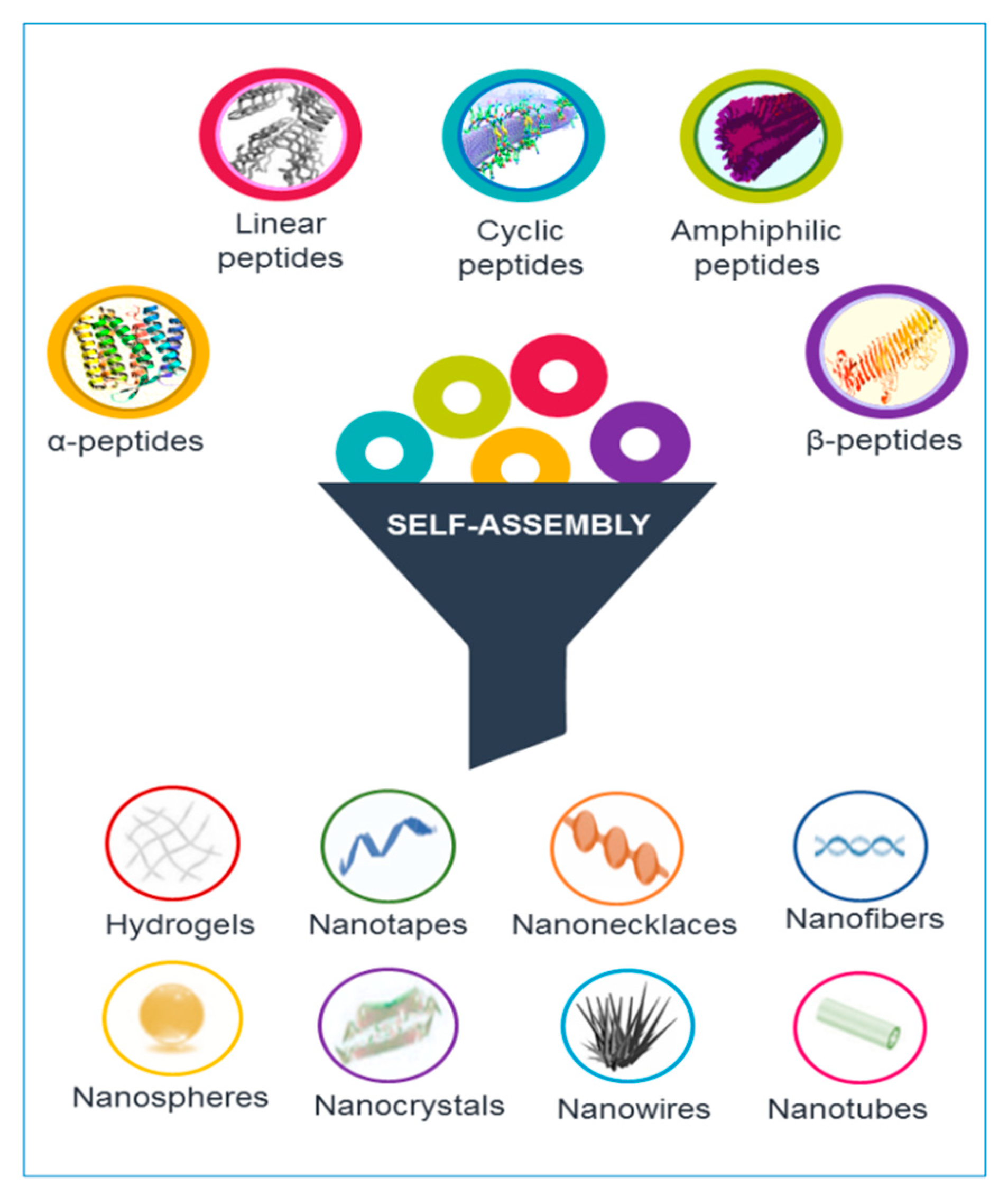 Molecules 24 00351 g001 Molecules 24 00351 g001
