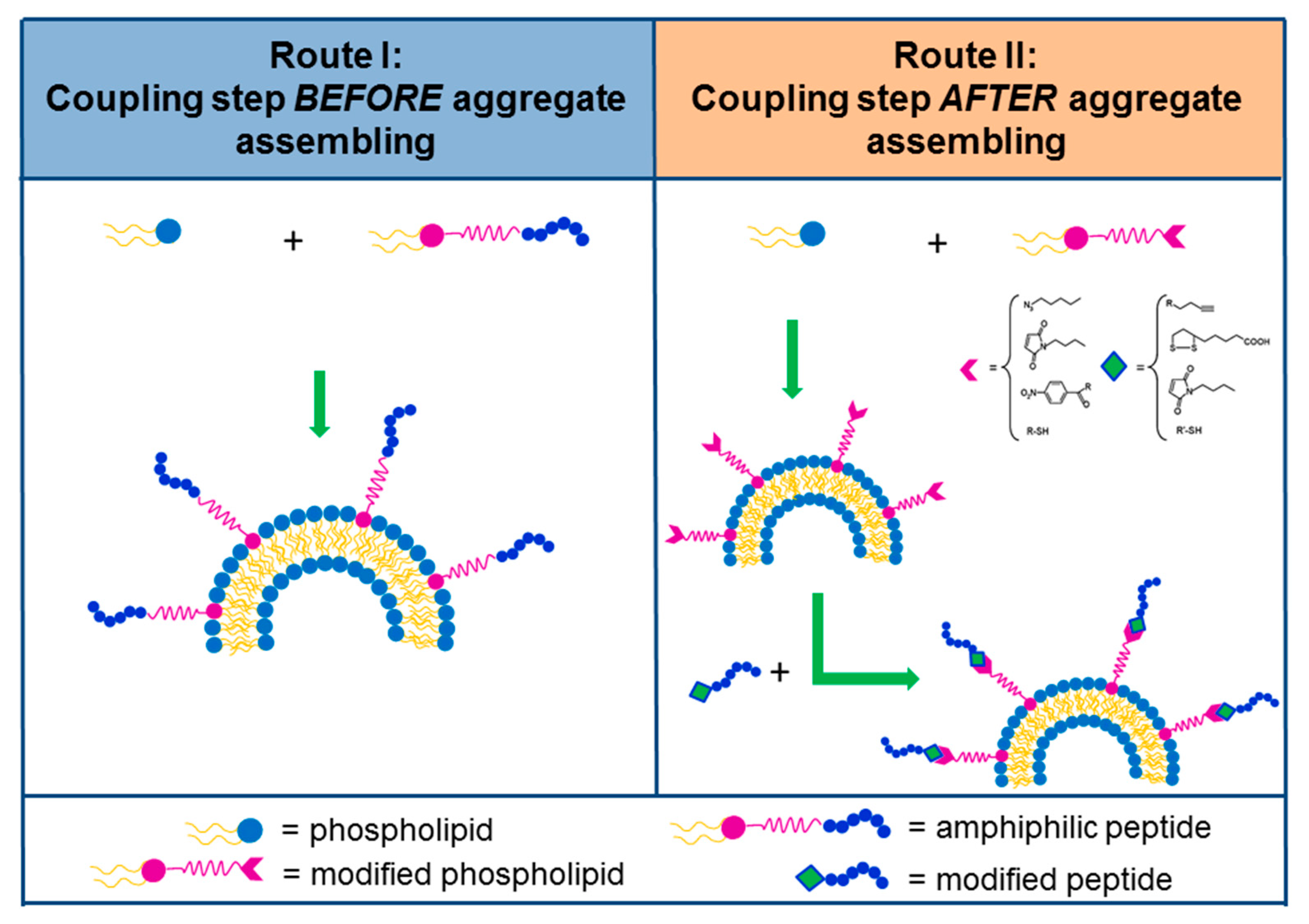 Molecules 24 00351 g003 Molecules 24 00351 g003