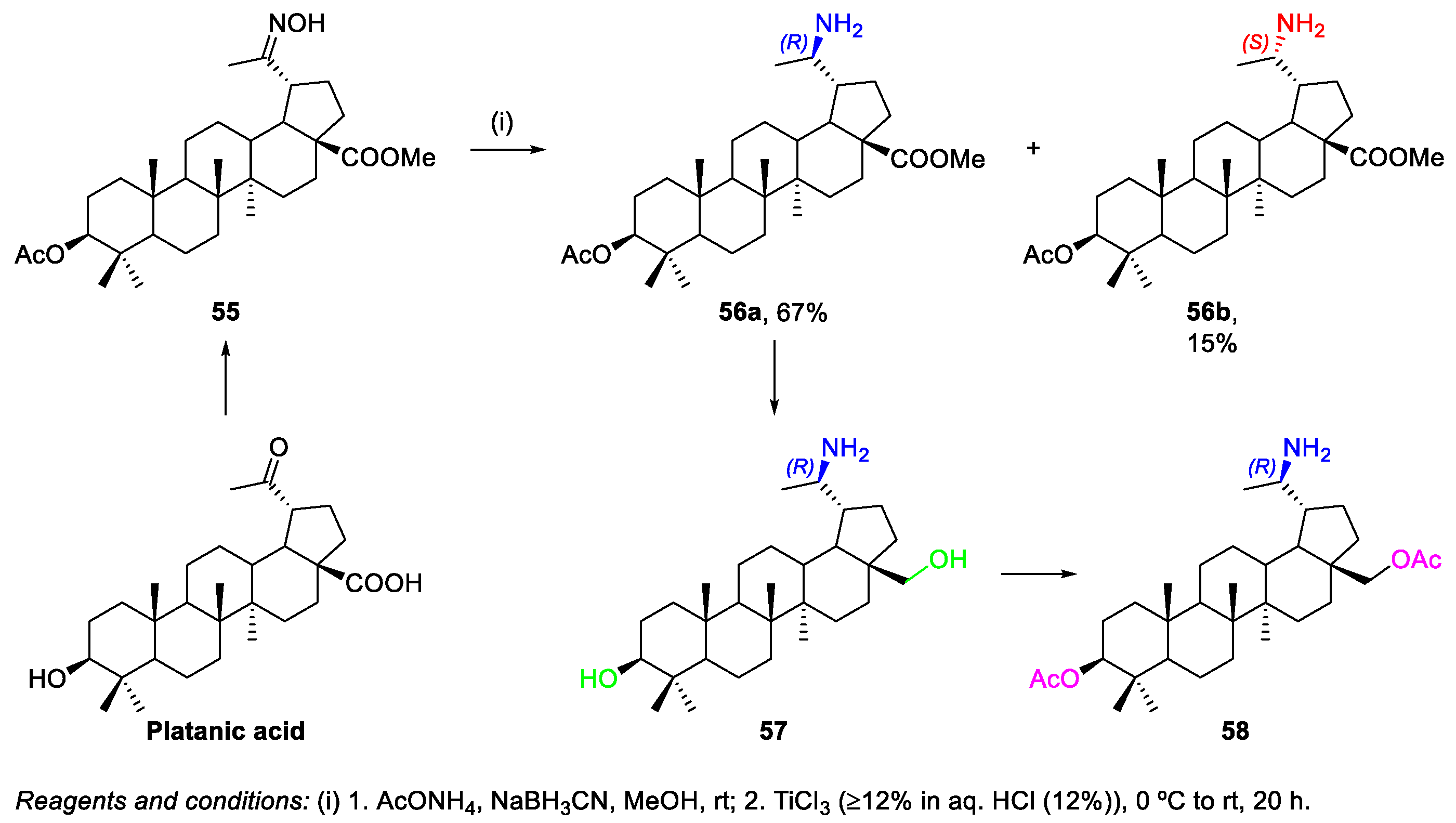 Molecules Free Full Text Recent Developments In The Functionalization Of Betulinic Acid And Its Natural Analogues A Route To New Bioactive Compounds Html