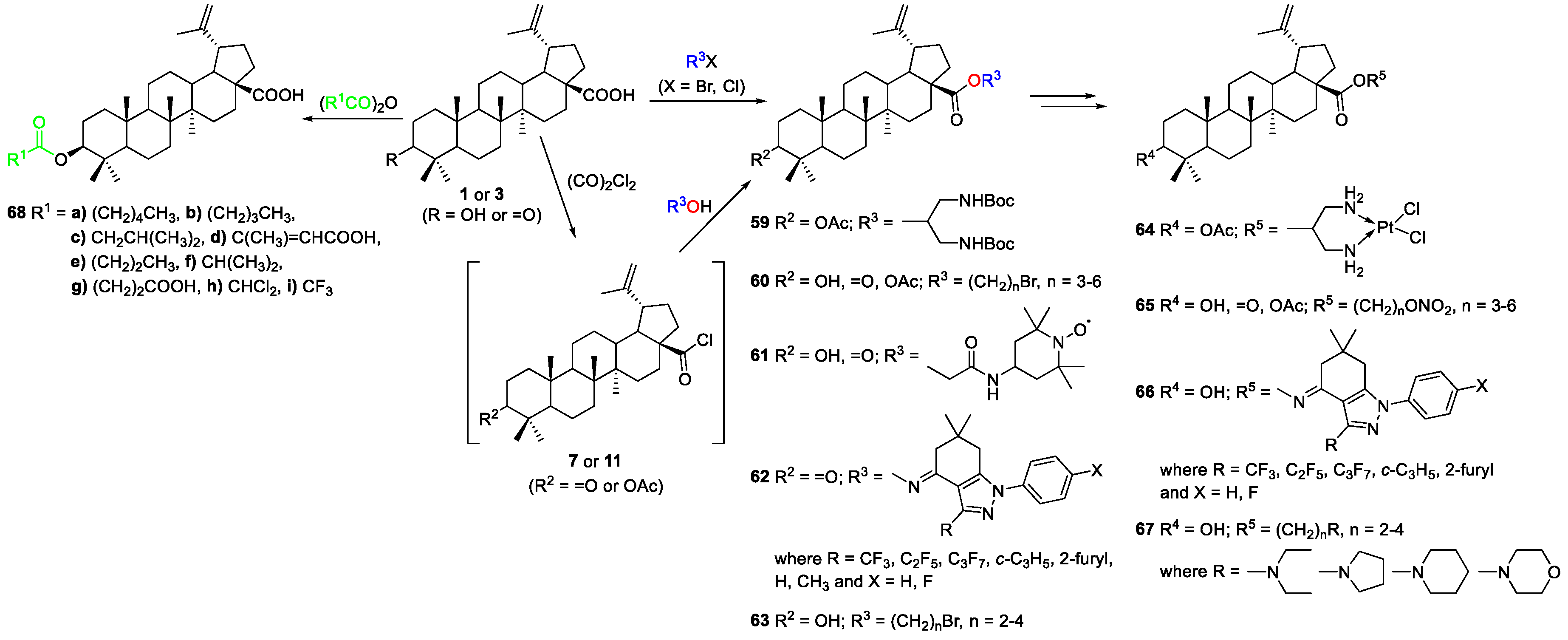 Molecules Free Full Text Recent Developments In The Functionalization Of Betulinic Acid And Its Natural Analogues A Route To New Bioactive Compounds Html