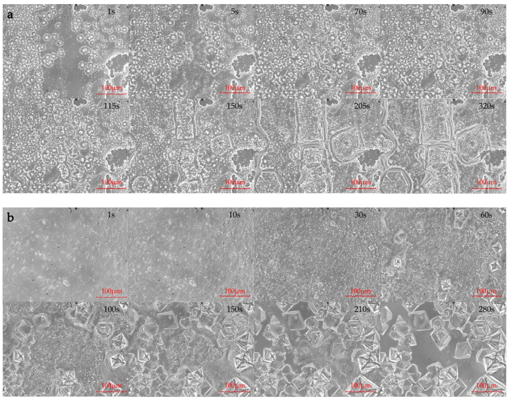 Molecules 24 00363 g003