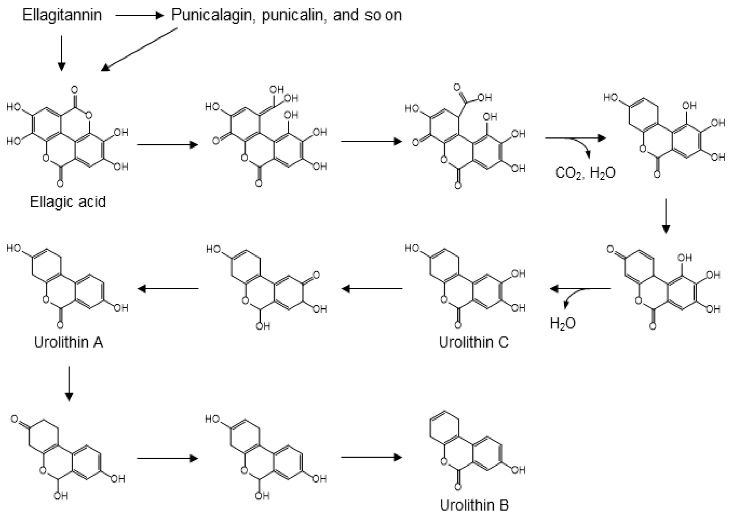 Molecules 24 00370 g009