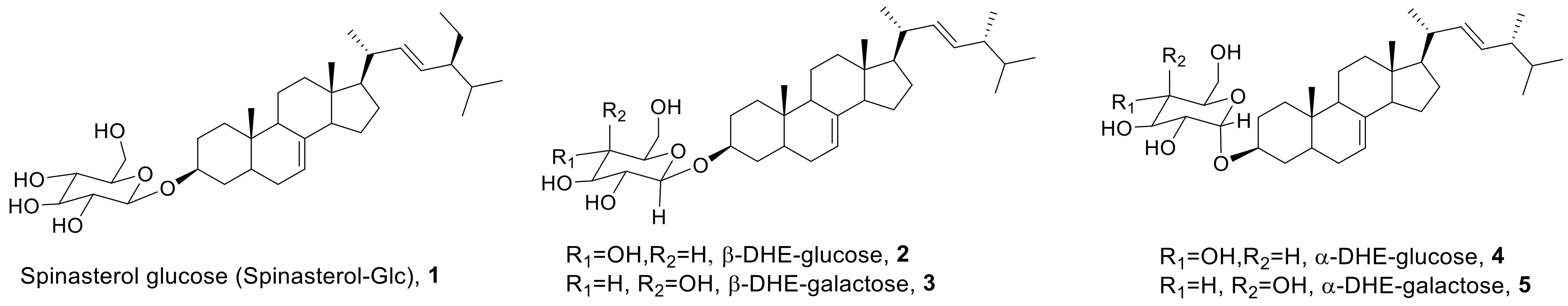 Molecules 24 00371 g001