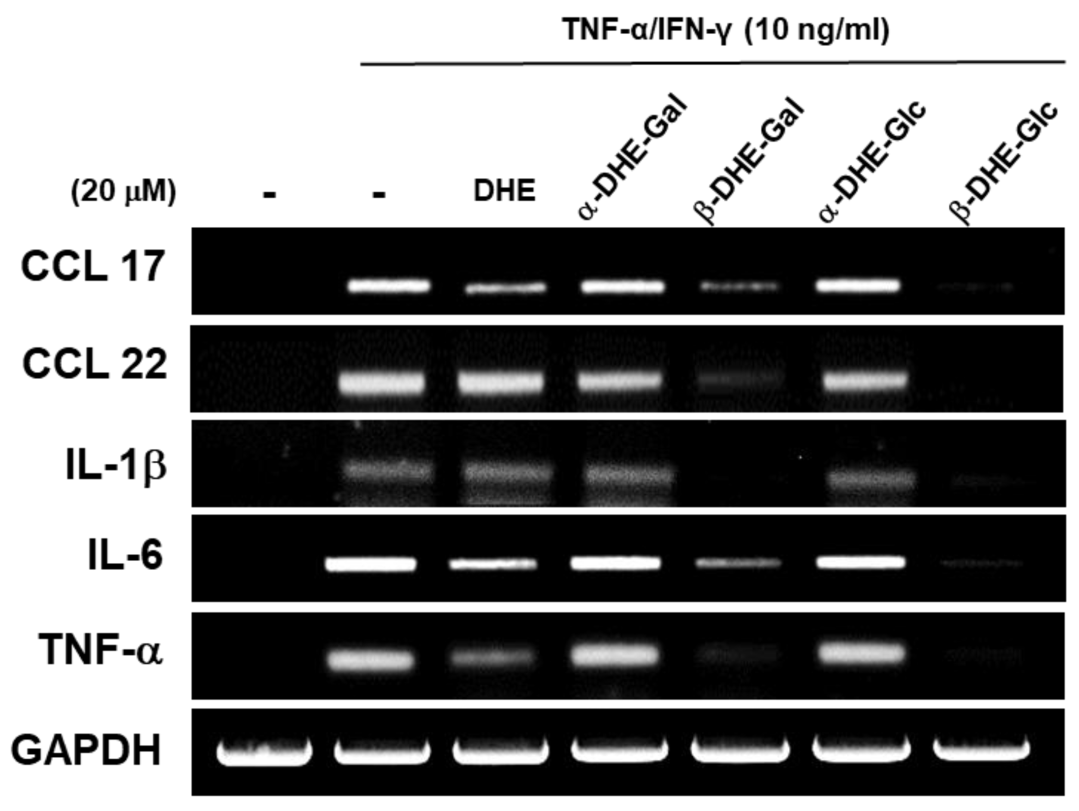 Molecules 24 00371 g003