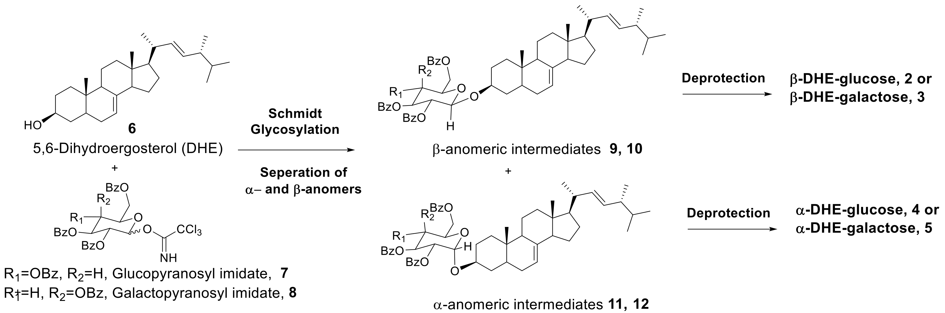 Molecules 24 00371 sch001