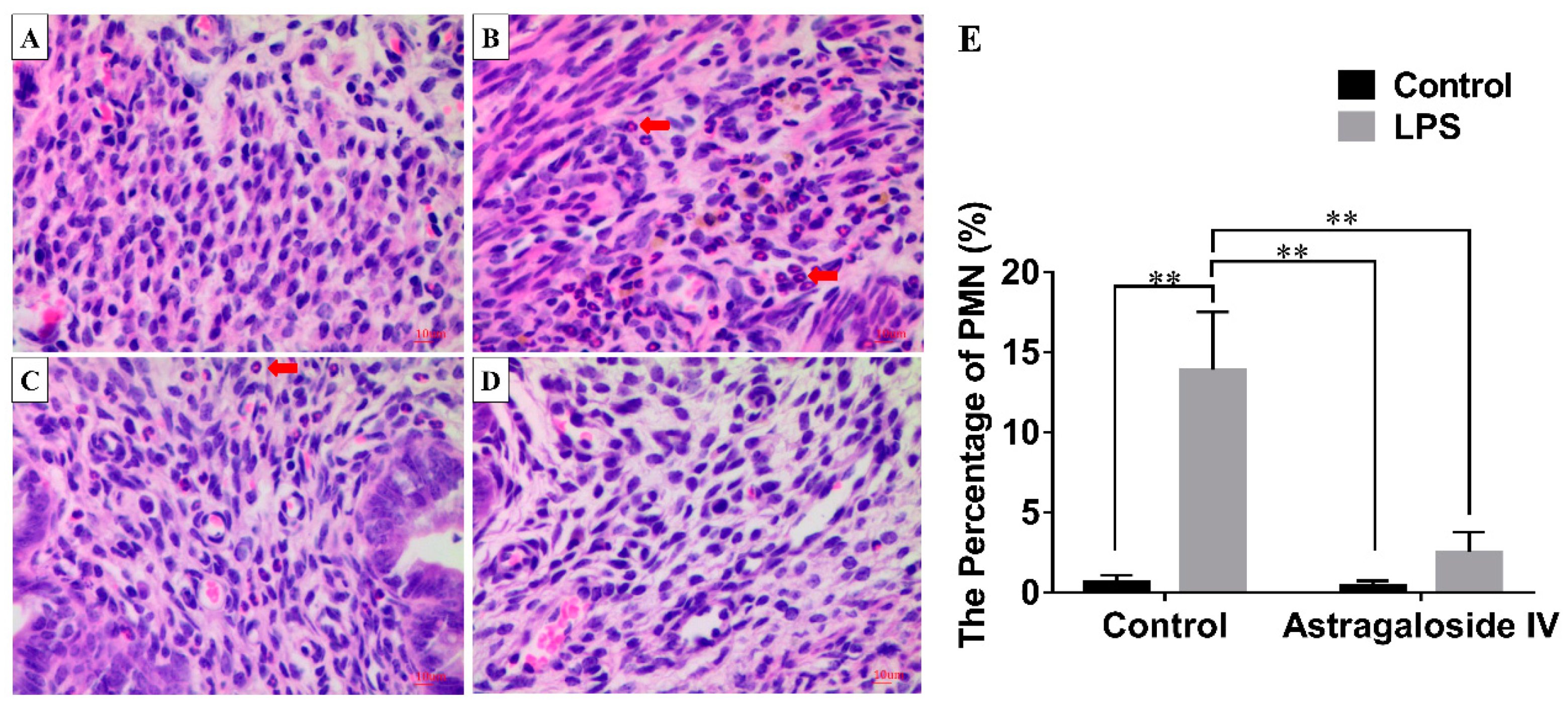 Molecules 24 00373 g002