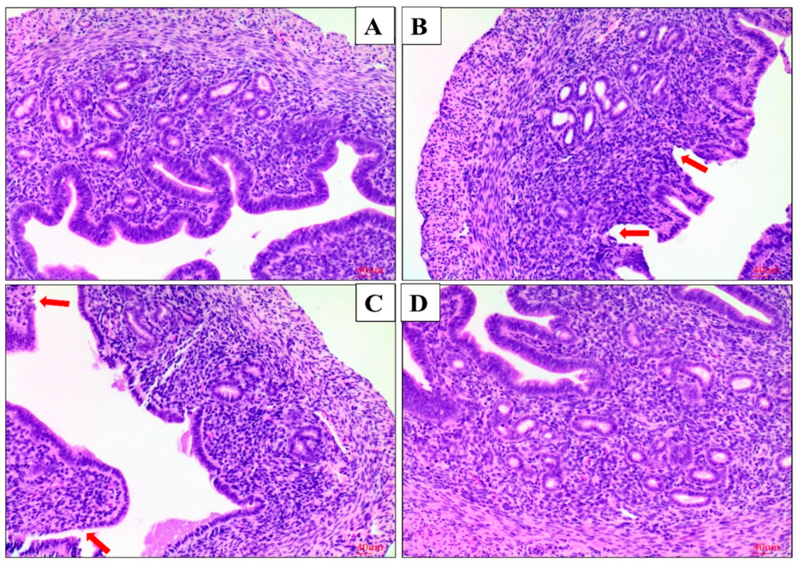 Molecules 24 00373 g003