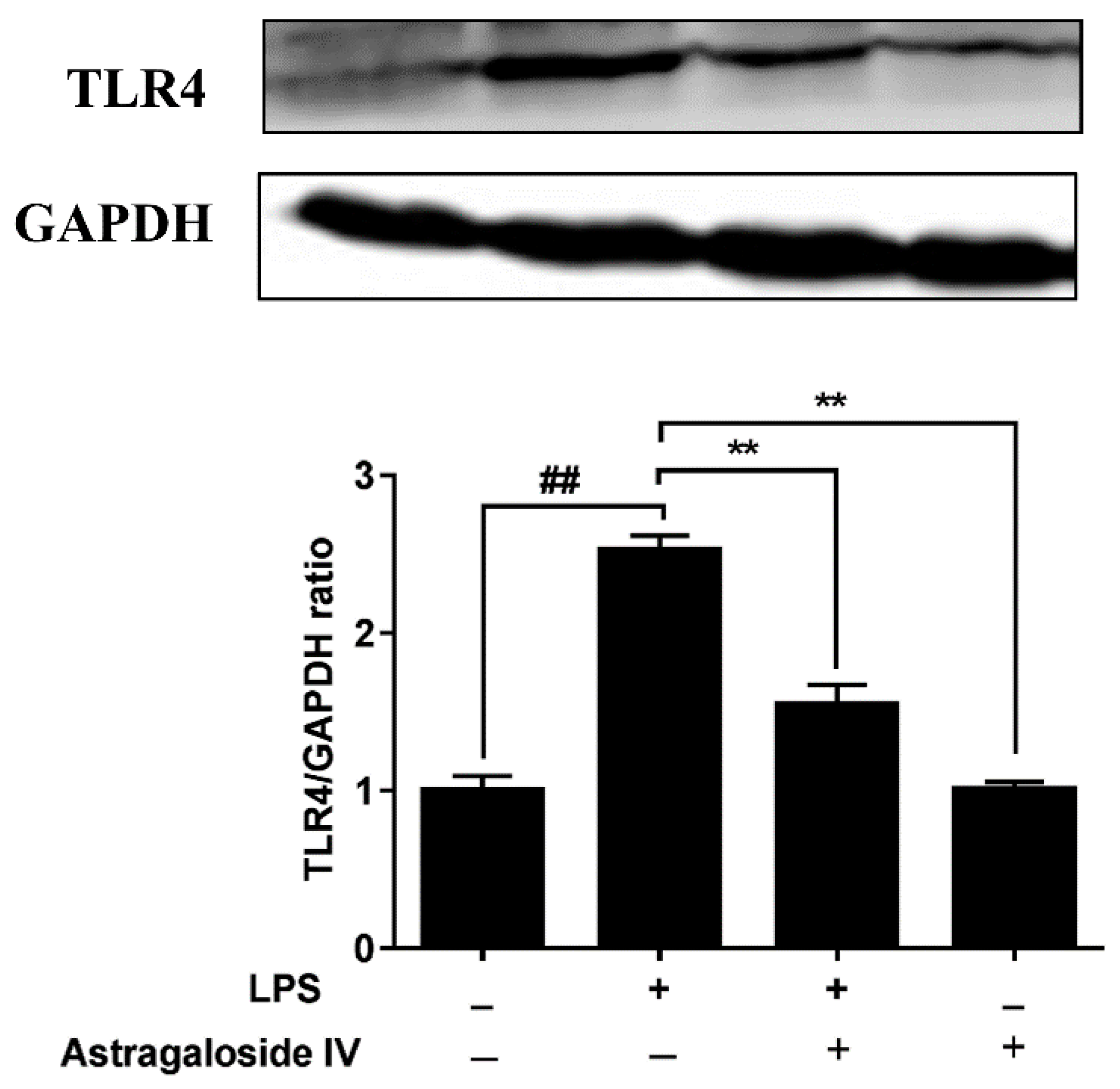 Molecules 24 00373 g007