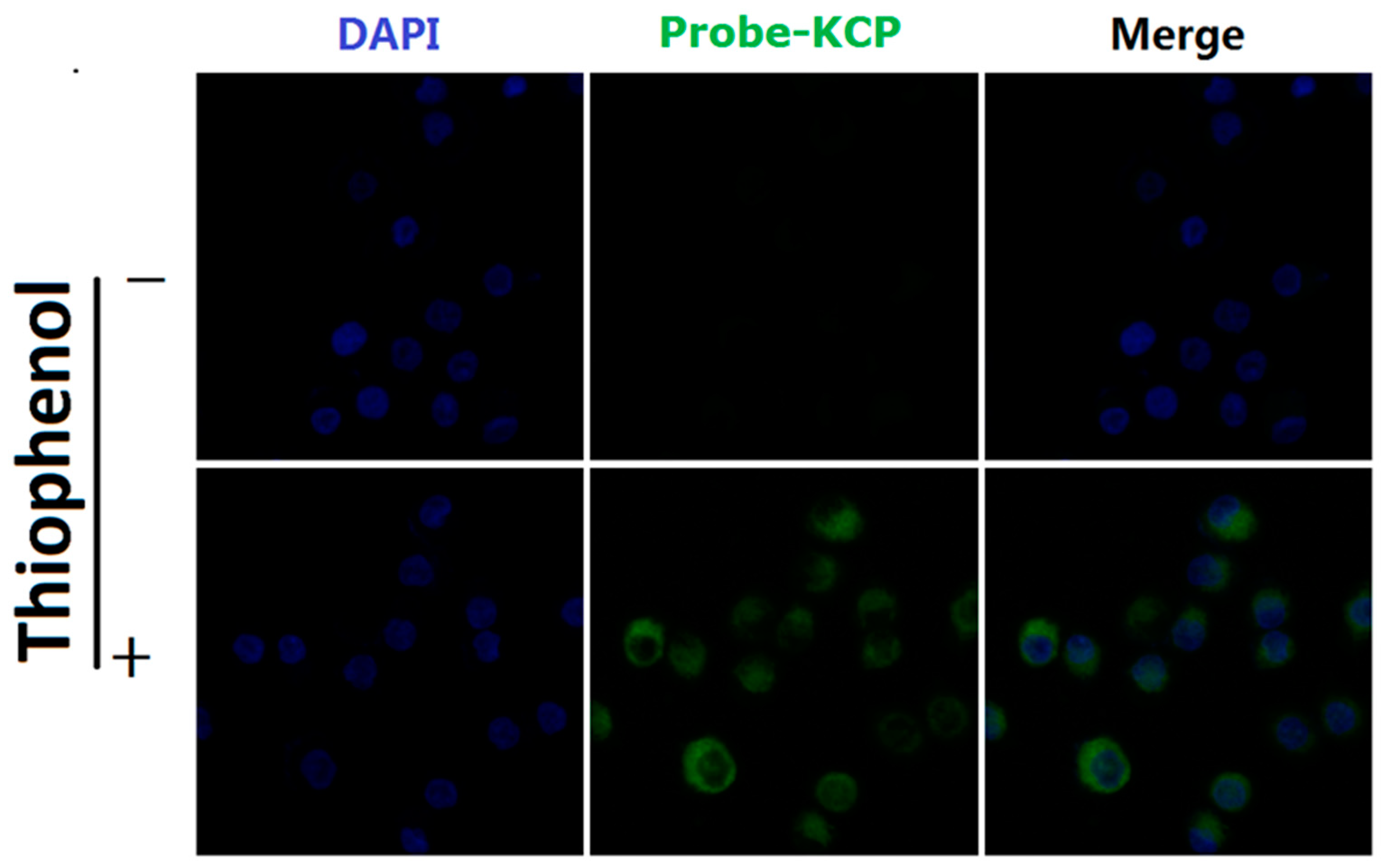 Molecules 24 00375 g006
