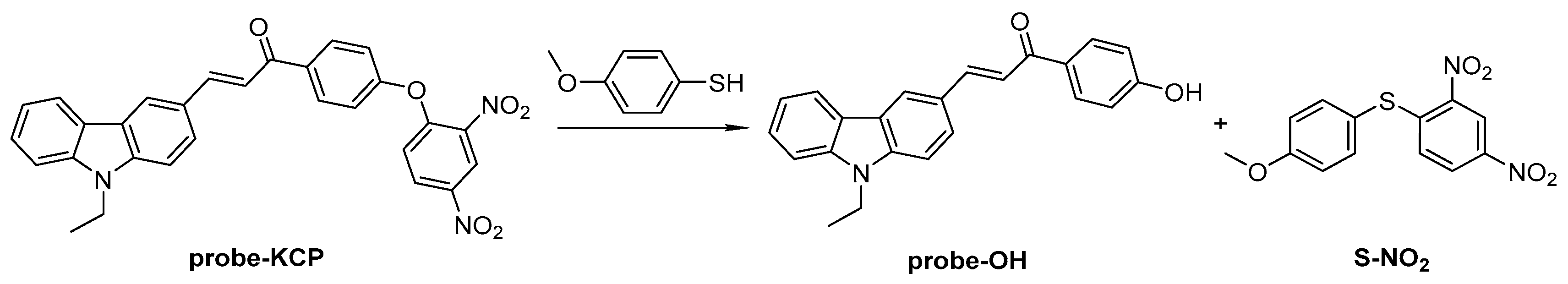 Molecules 24 00375 sch002