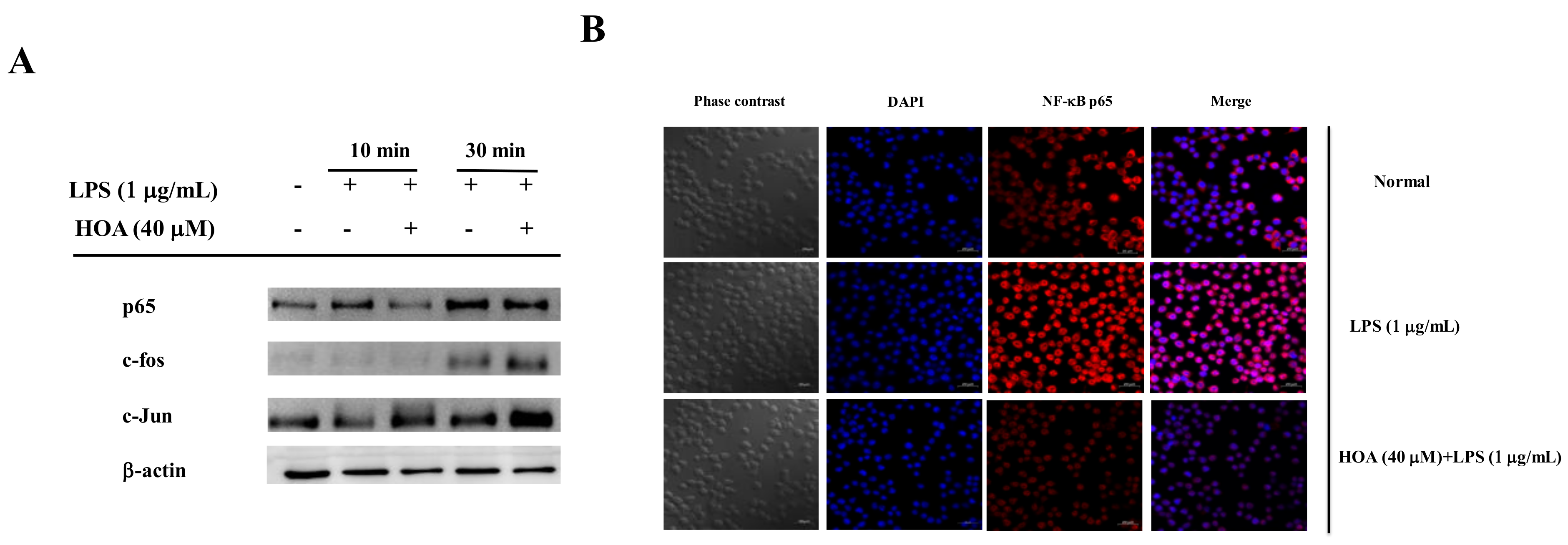 Molecules 24 00386 g005 Molecules 24 00386 g005