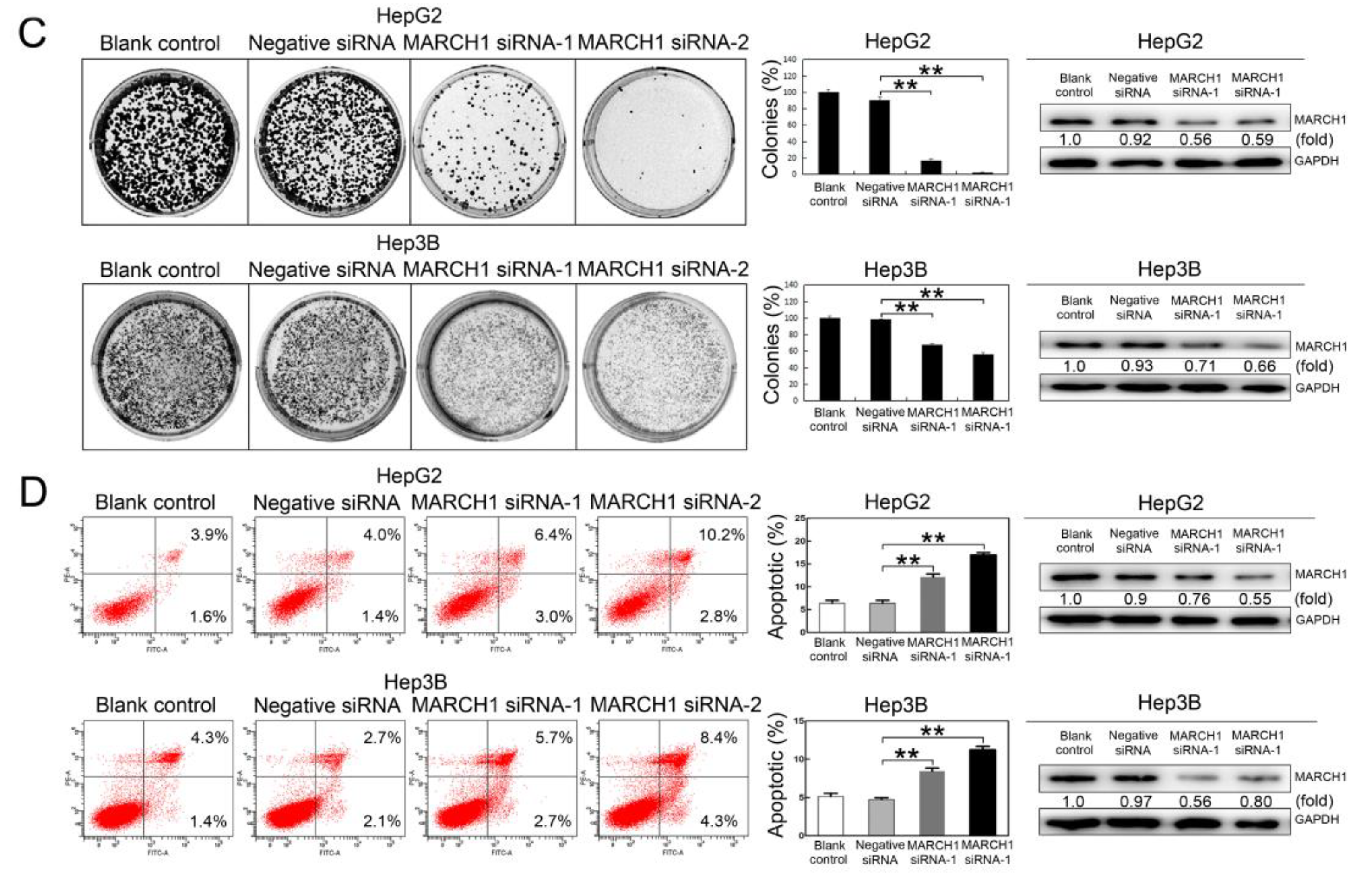 Molecules 24 00393 g002b Molecules 24 00393 g002b