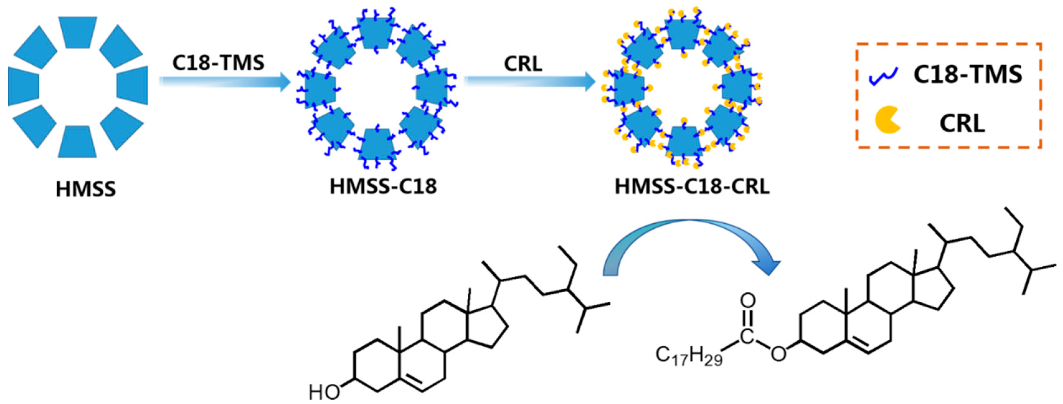 Molecules 24 00395 sch001