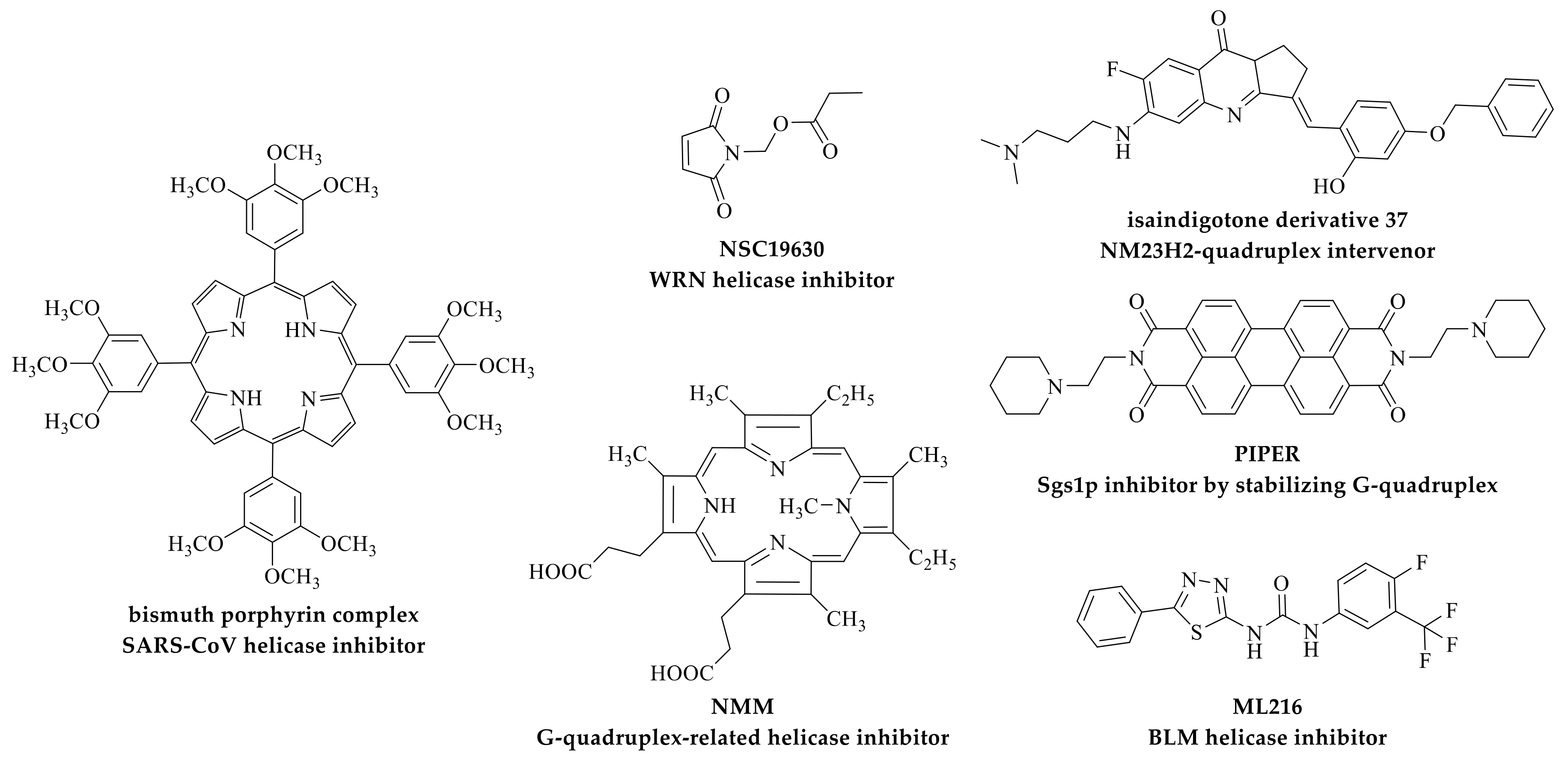 人気商品の入荷速報 入荷Now G-Quadruplex Novel Developing Ligands: with Interaction From ゲームキャラクター