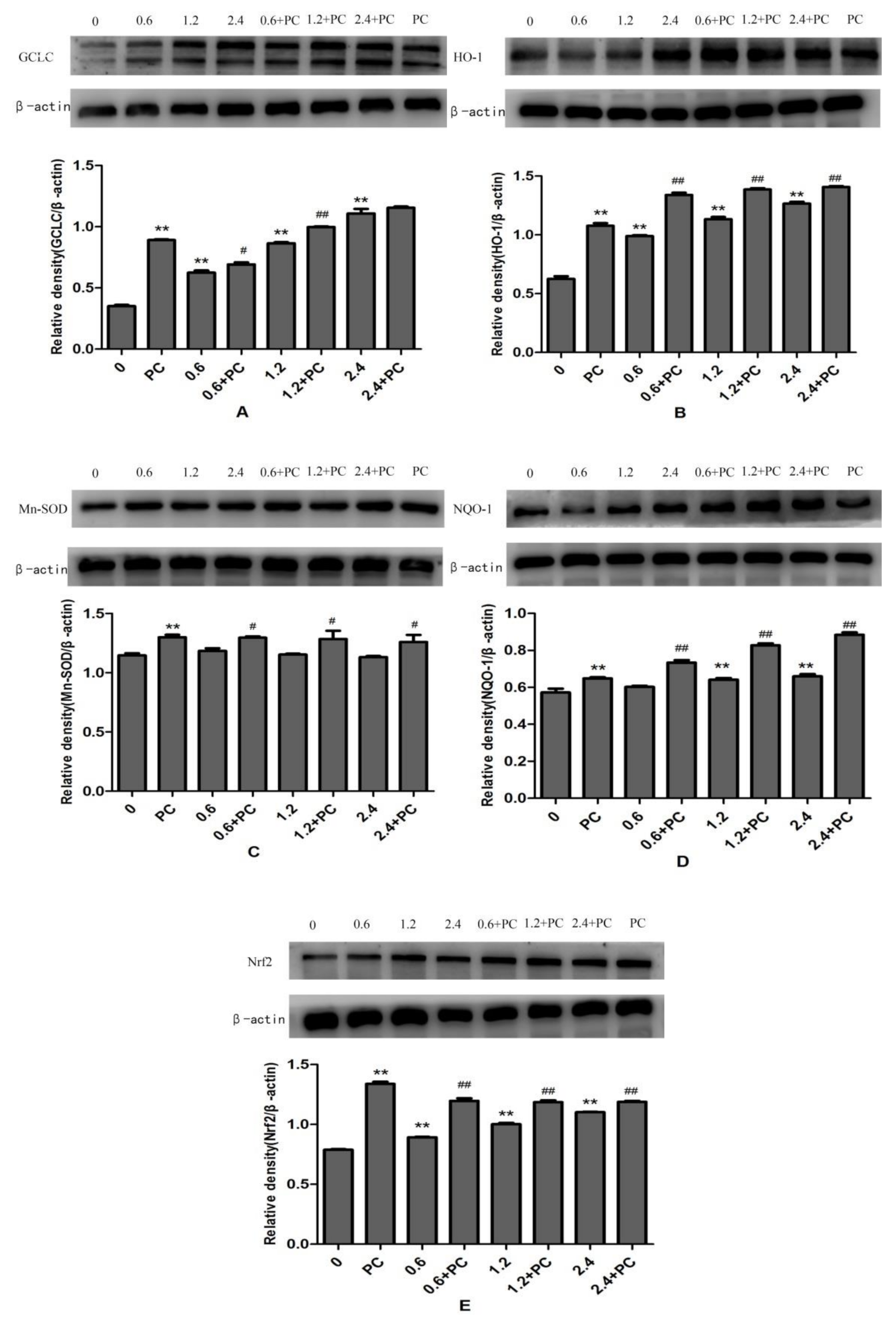 Molecules 24 00400 g007 Molecules 24 00400 g007