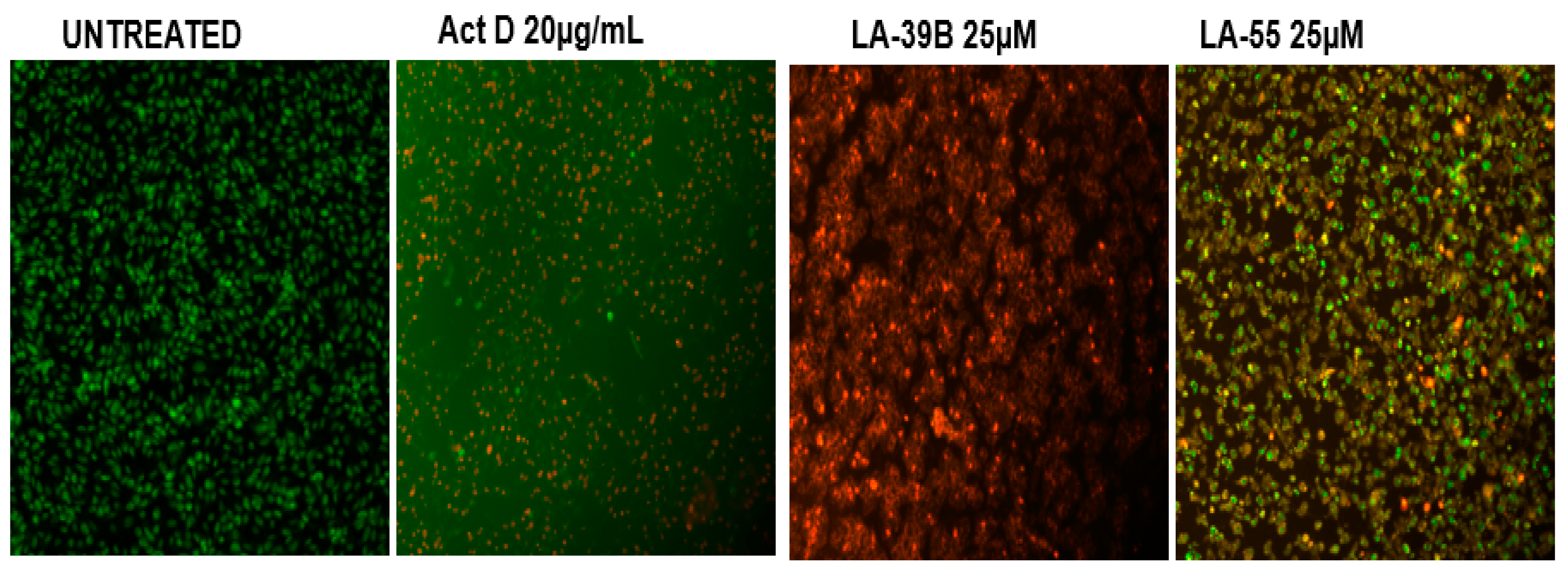 Molecules 24 00407 g014 Molecules 24 00407 g014