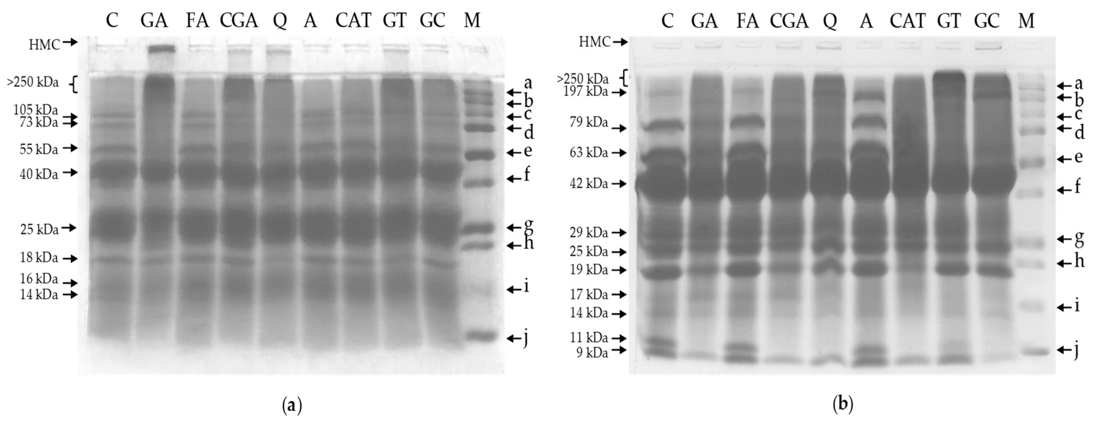 Molecules 24 00408 g005