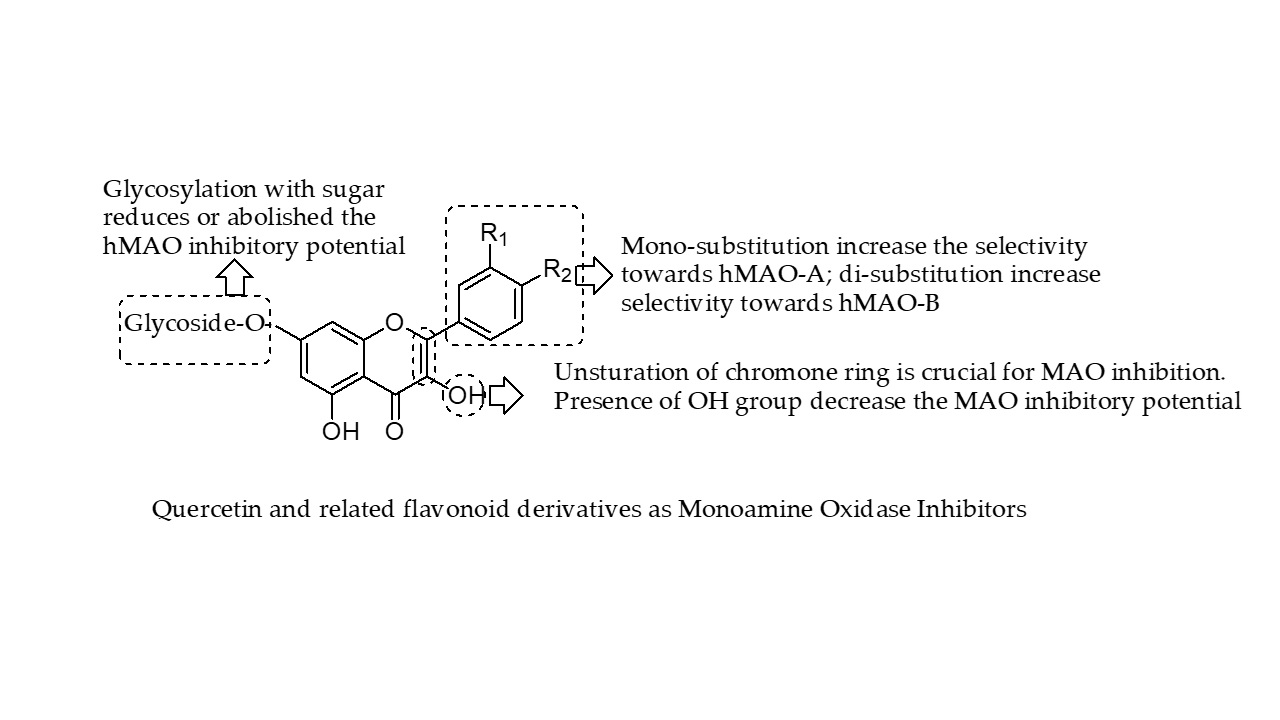 Molecules Free Full Text Quercetin And Related Chromenone Derivatives As Monoamine Oxidase Inhibitors Targeting Neurological And Mental Disorders Html Molecules Free Full Text Quercetin And Related Chromenone Derivatives As Monoamine Oxidase Inhibitors Targeting Neurological And Mental Disorders Html