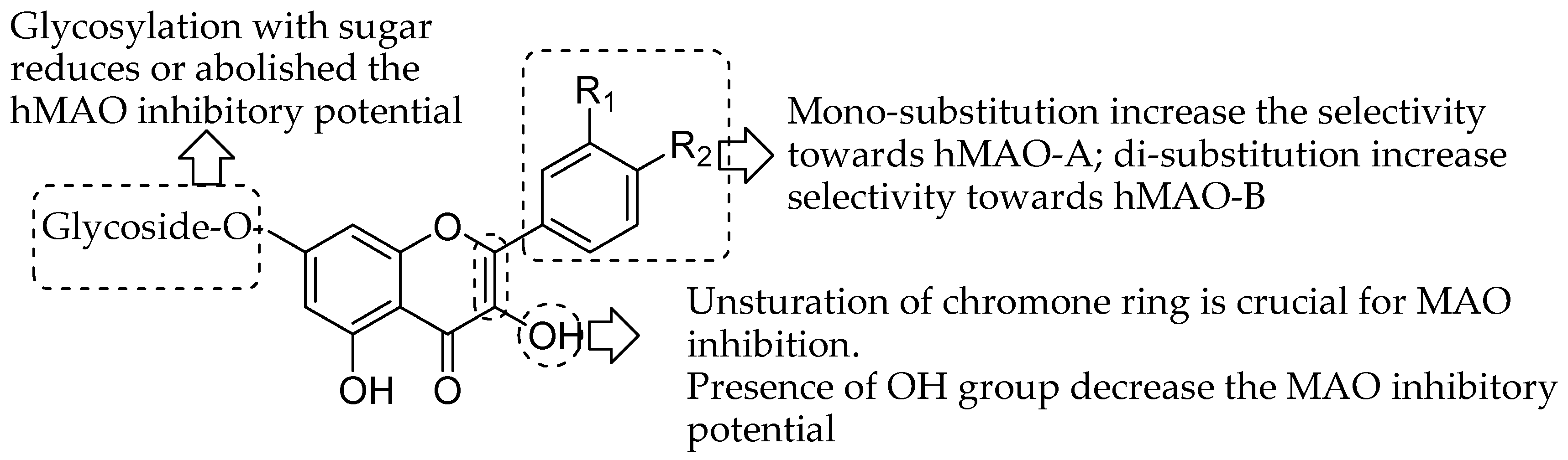 Molecules Free Full Text Quercetin And Related Chromenone Derivatives As Monoamine Oxidase Inhibitors Targeting Neurological And Mental Disorders Html Molecules Free Full Text Quercetin And Related Chromenone Derivatives As Monoamine Oxidase Inhibitors Targeting Neurological And Mental Disorders Html