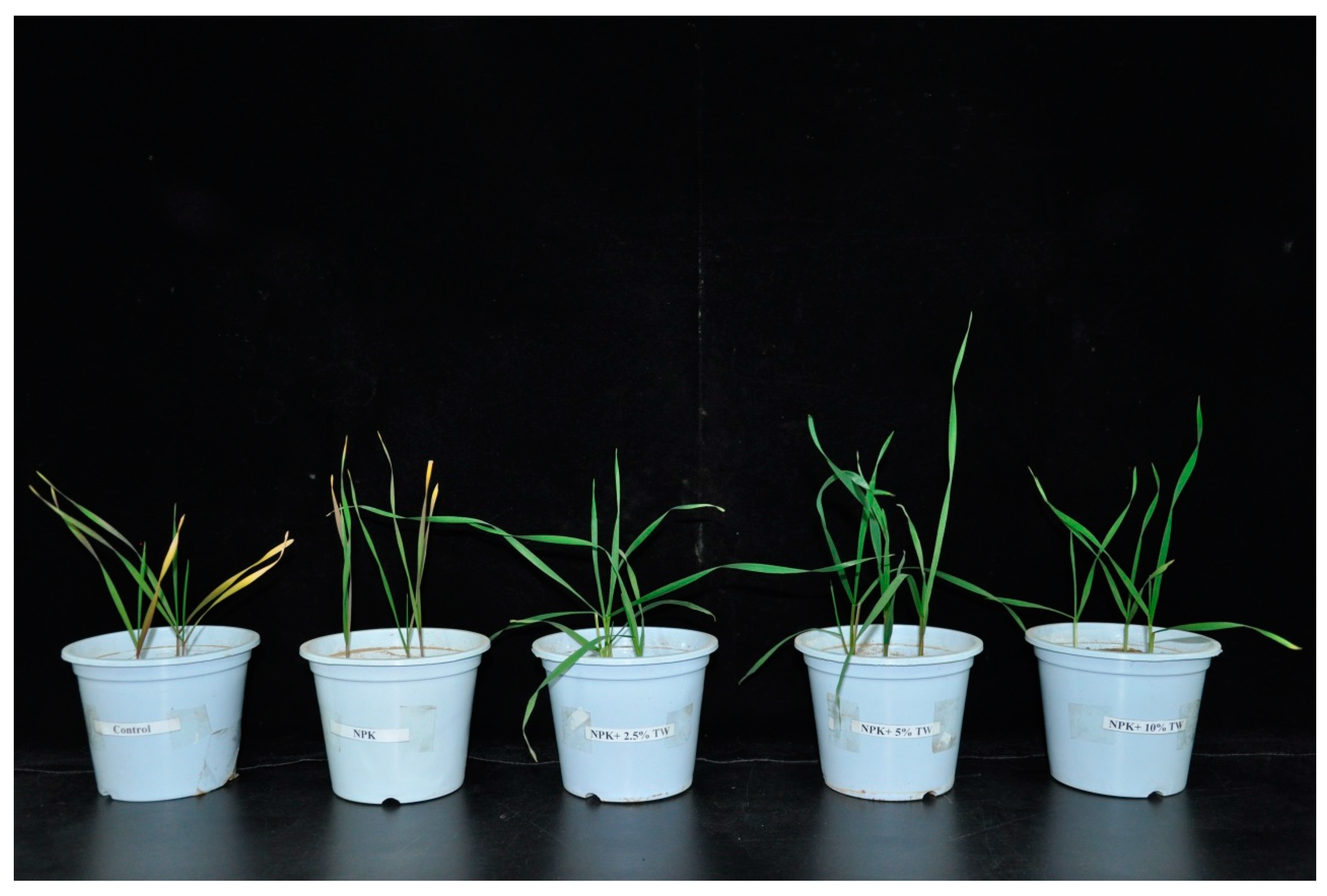 Molecules 24 00423 g008 Molecules 24 00423 g008