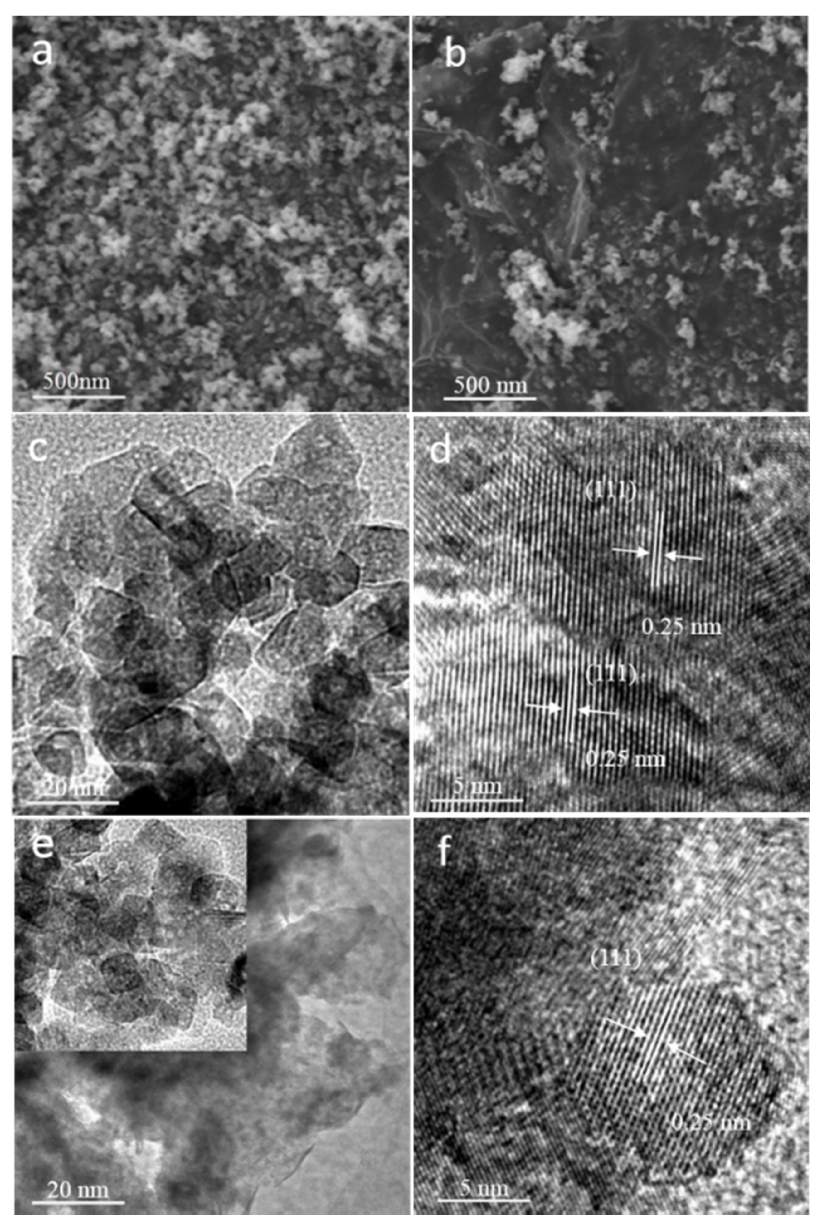 Molecules 24 00441 g001 Molecules 24 00441 g001
