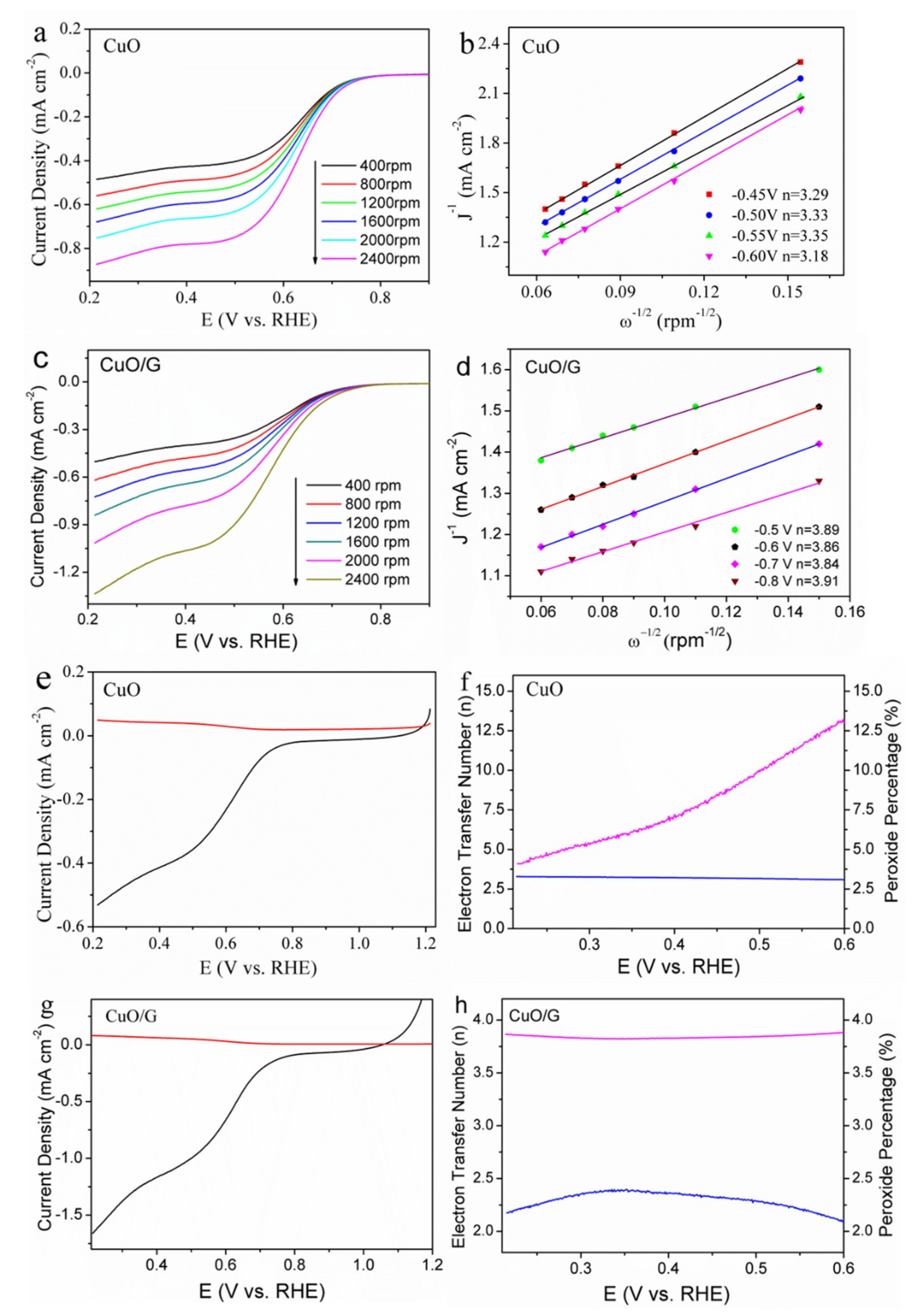Molecules 24 00441 g004 Molecules 24 00441 g004