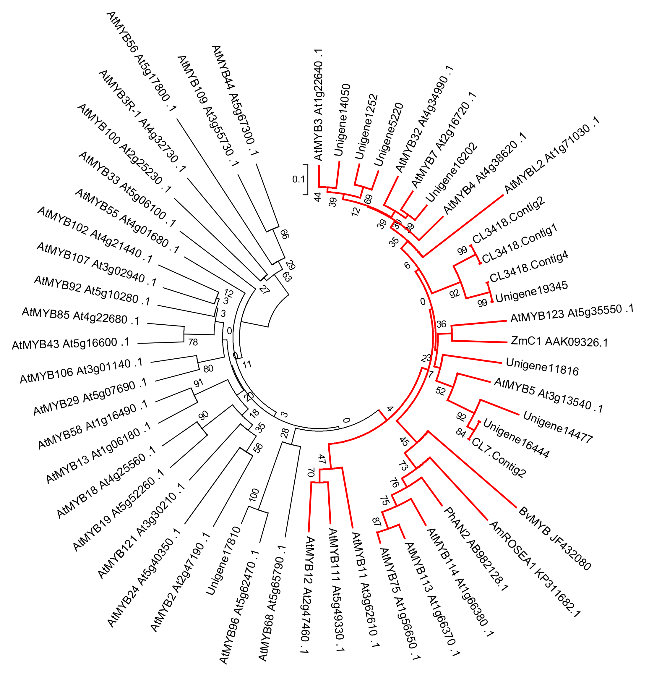 Molecules 24 00445 g006 Molecules 24 00445 g006