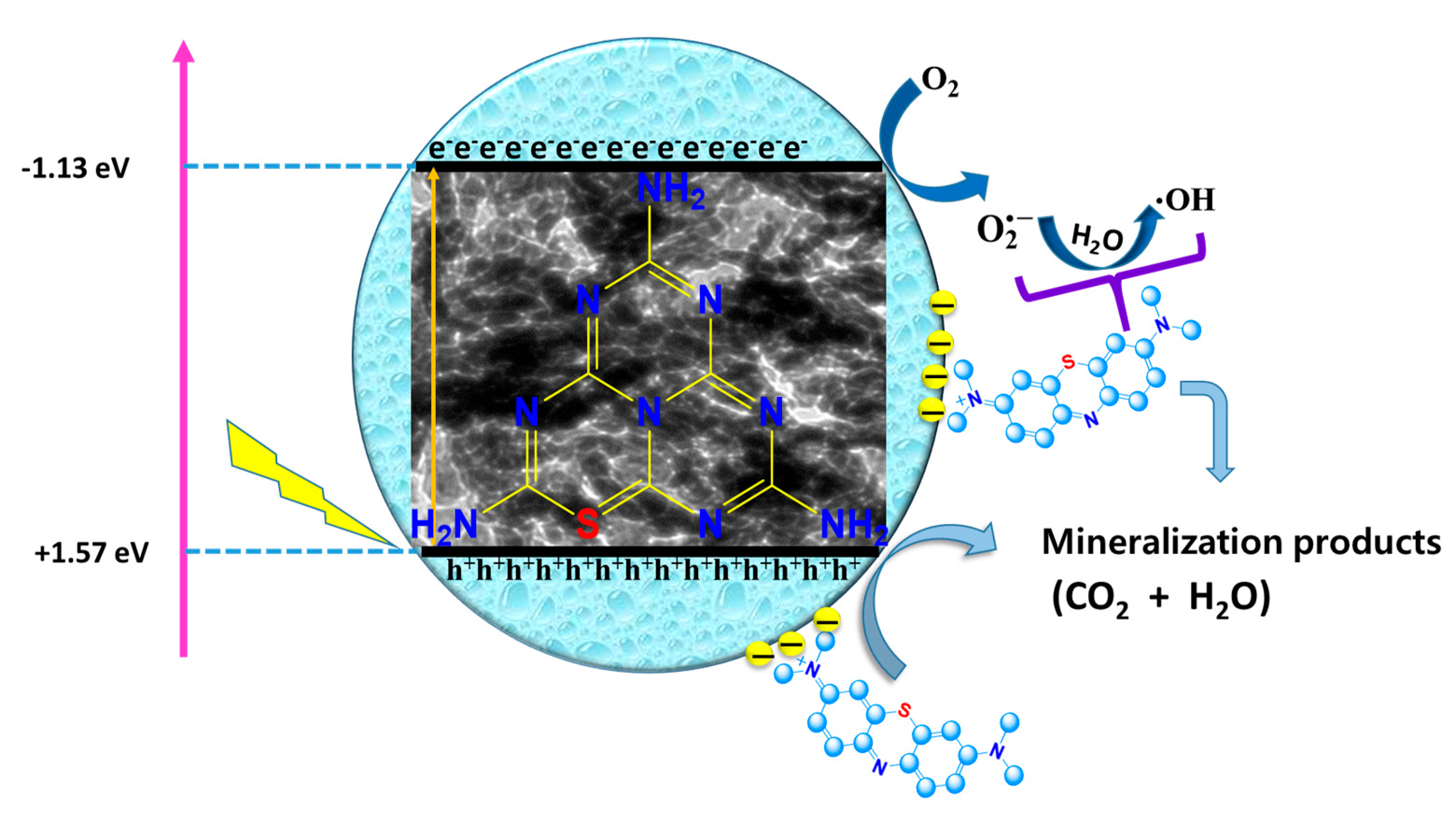 Molecules 24 00450 sch002