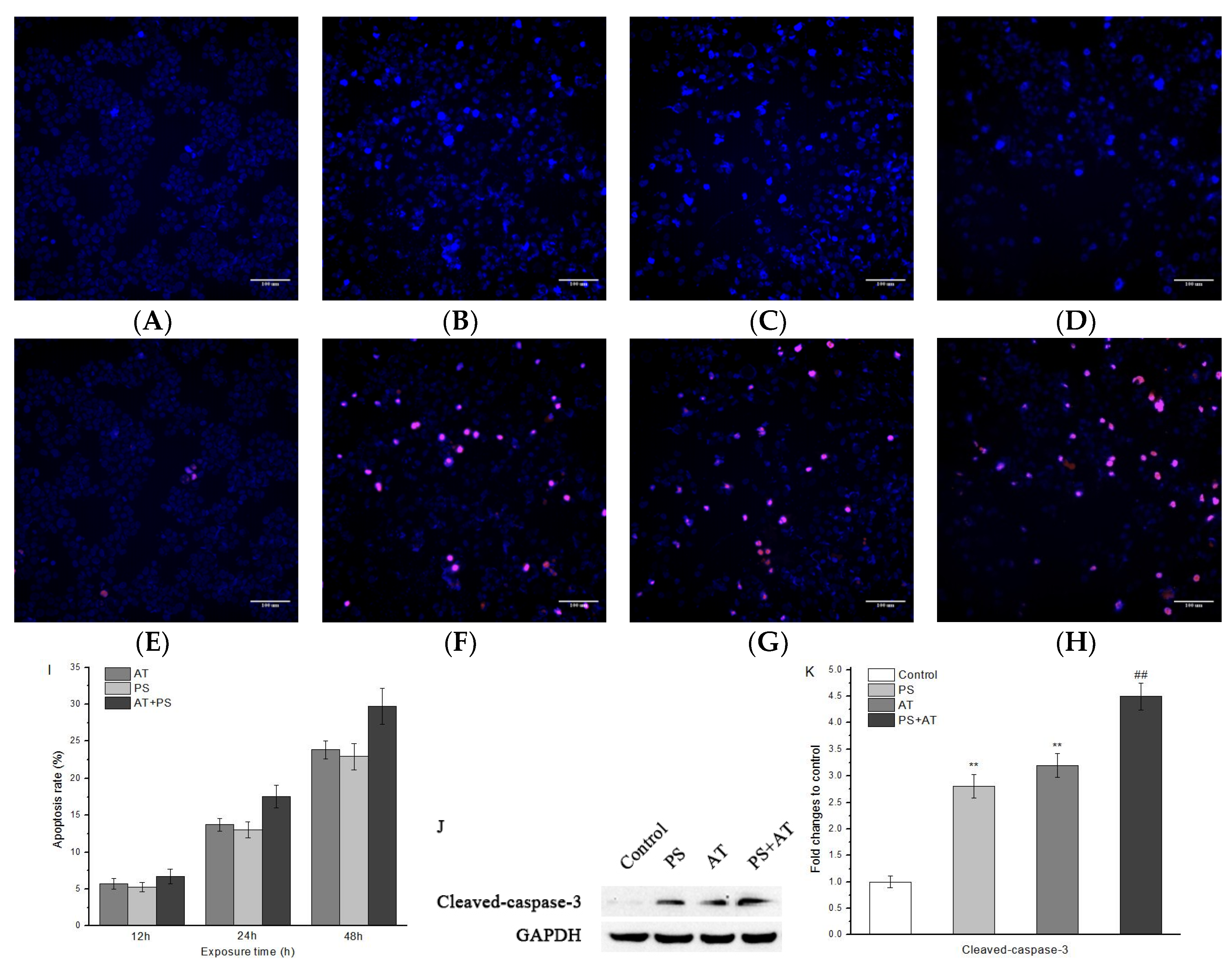 Molecules 24 00457 g002 Molecules 24 00457 g002