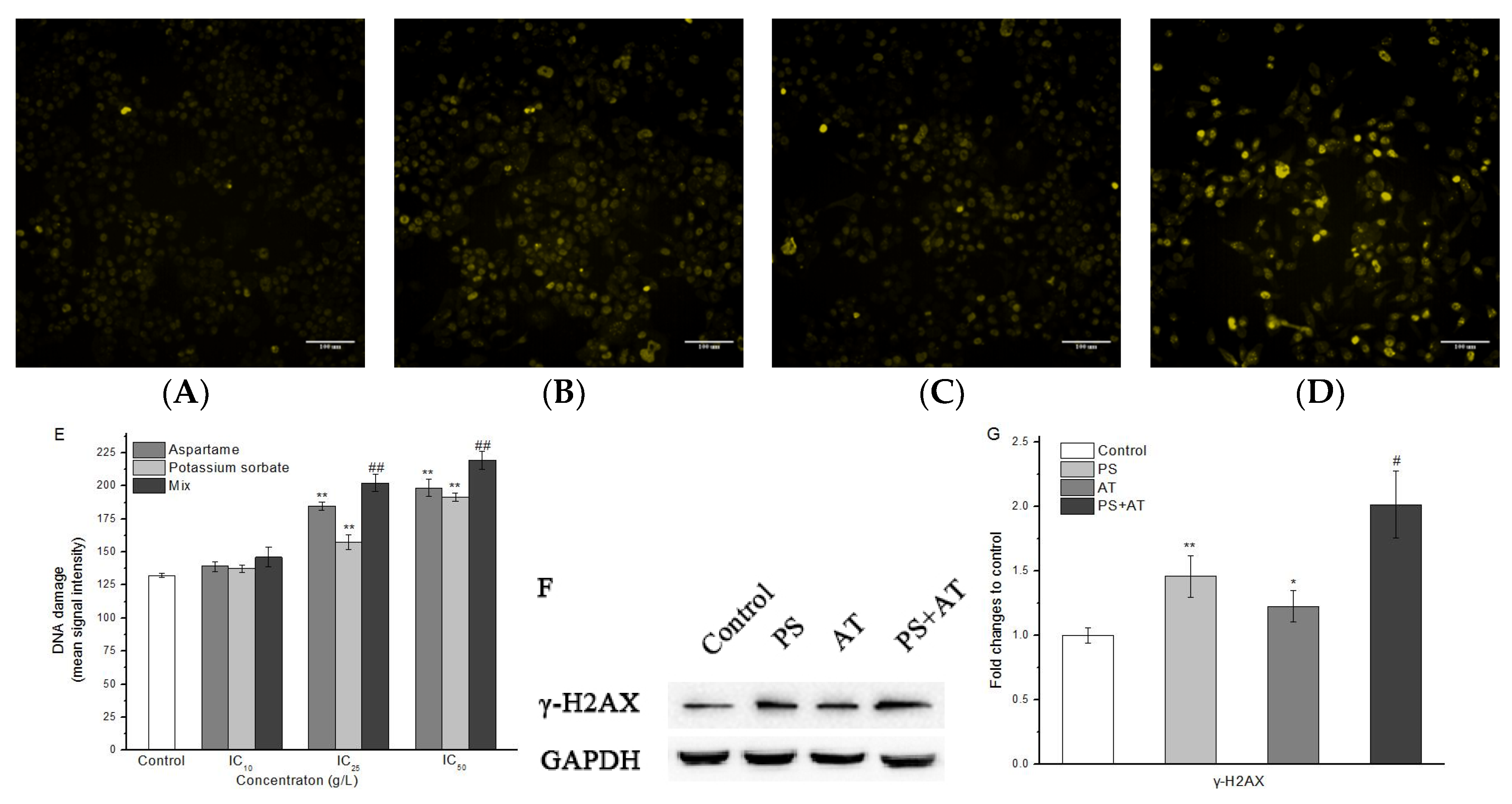 Molecules 24 00457 g005 Molecules 24 00457 g005