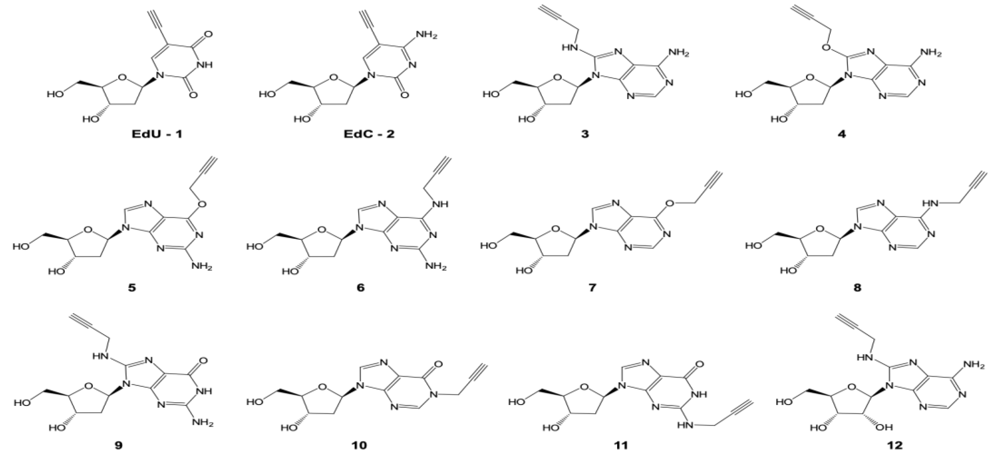Molecules 24 00468 g001