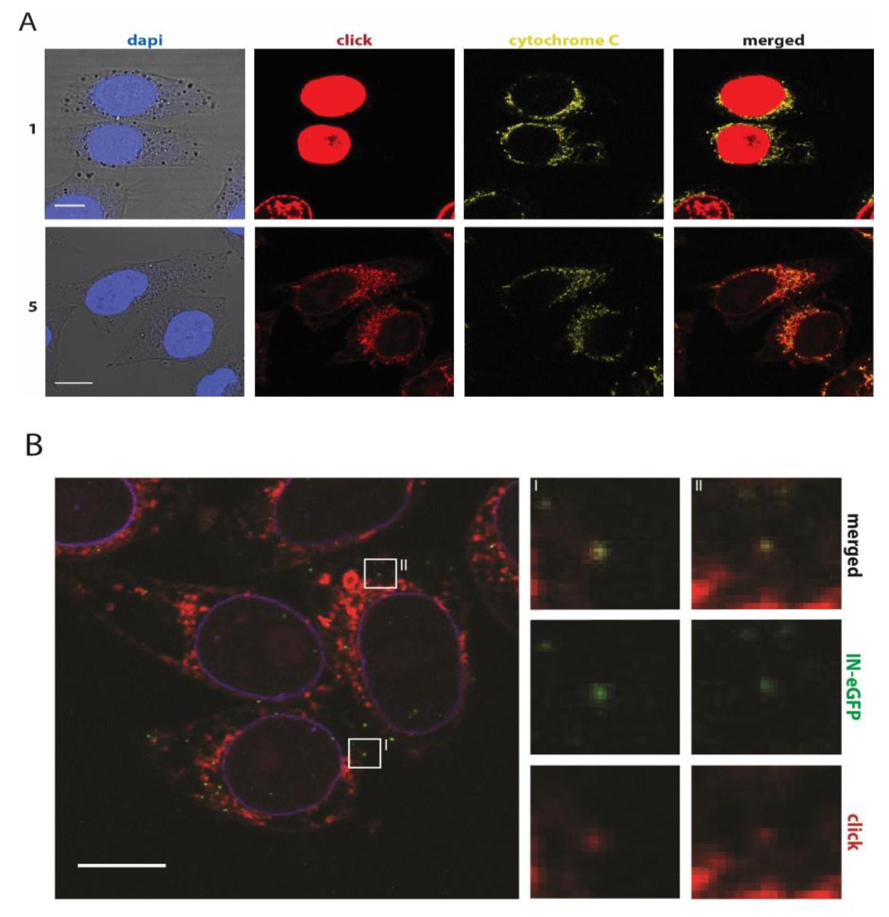 Molecules 24 00468 g002