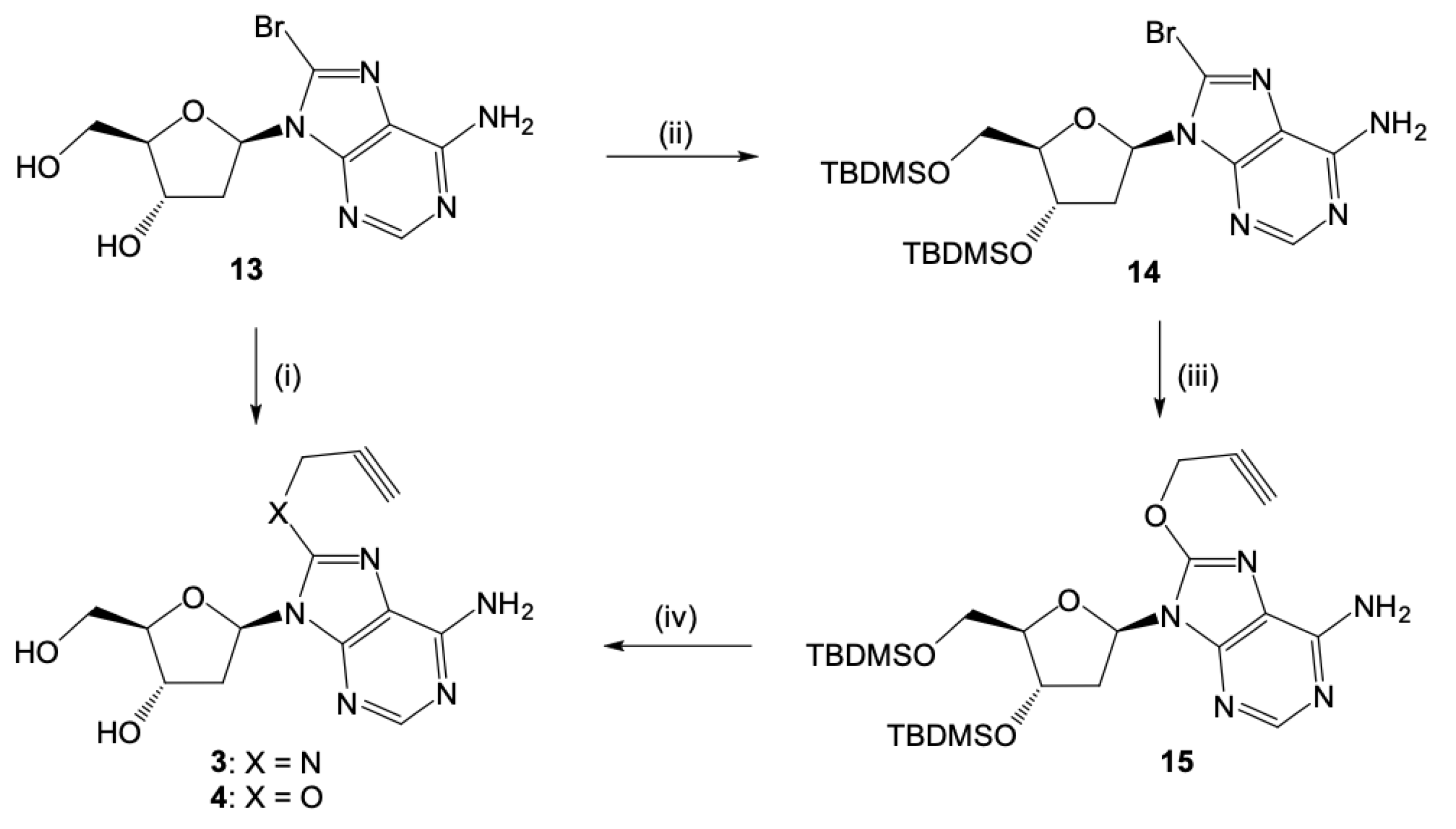 Molecules 24 00468 sch001